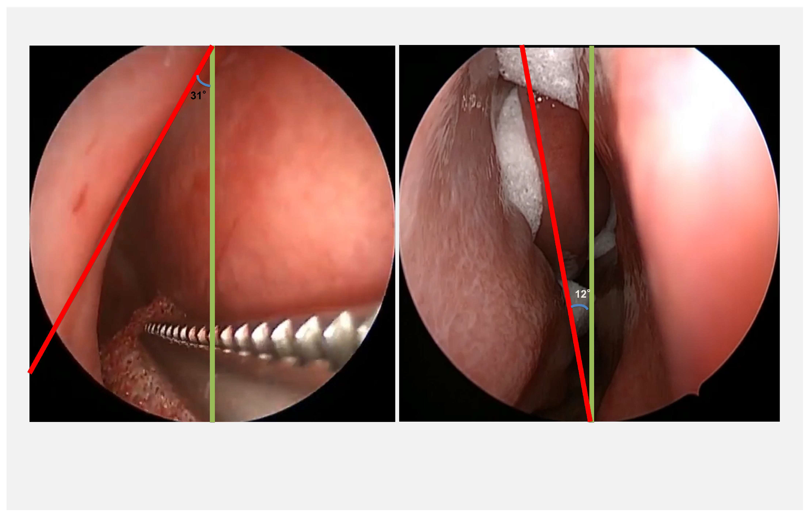 Information 16 00303 g001