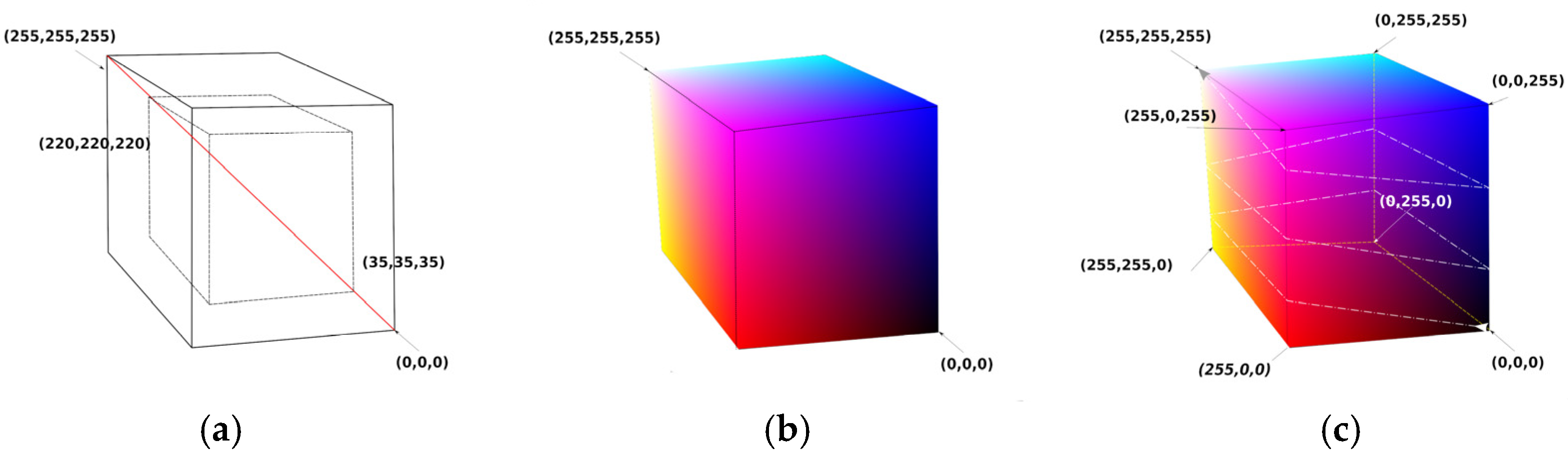 Information 16 00352 g005