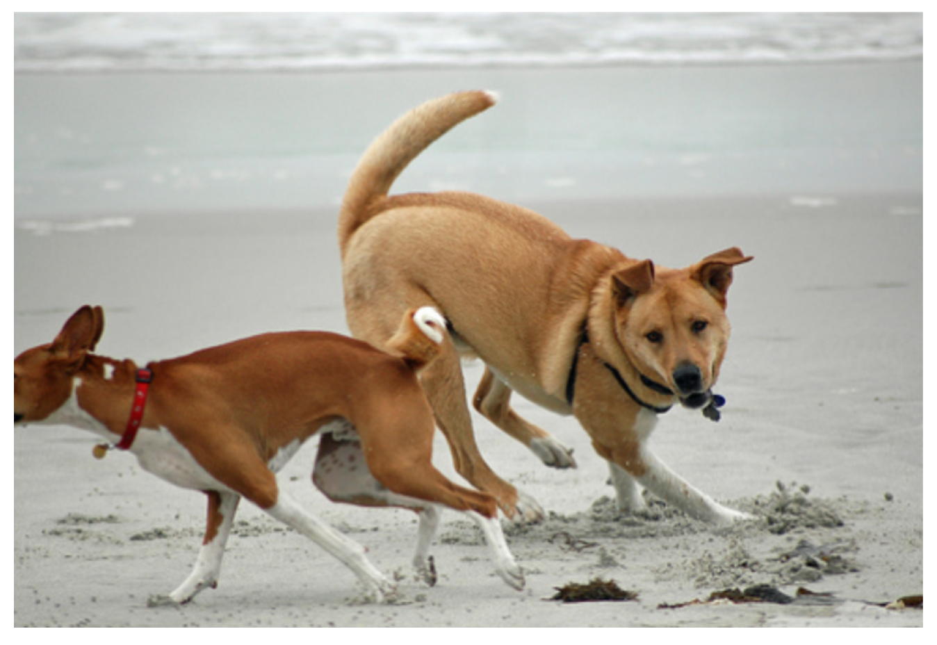 Information 16 00356 g0a12