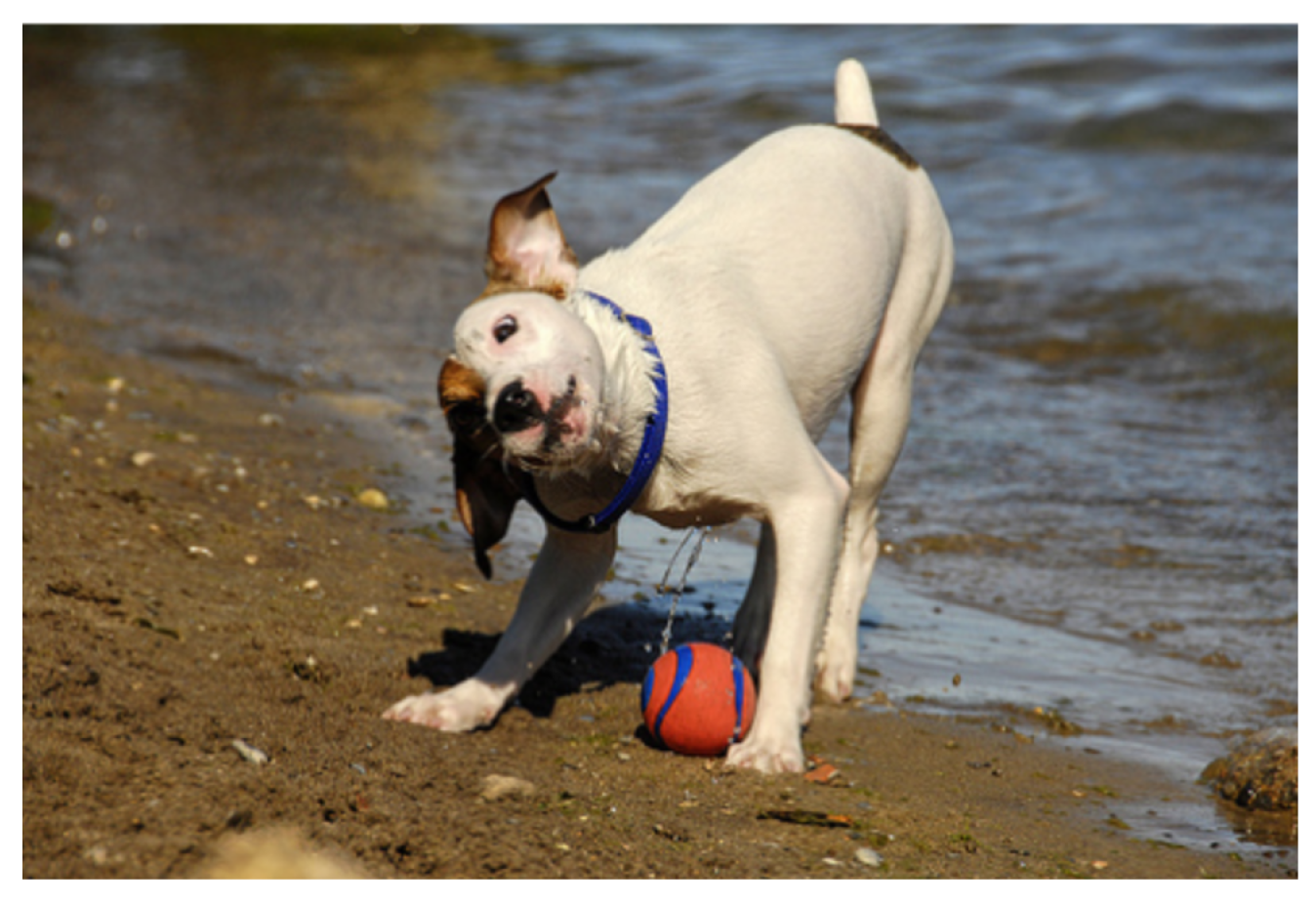 Information 16 00356 g0a9