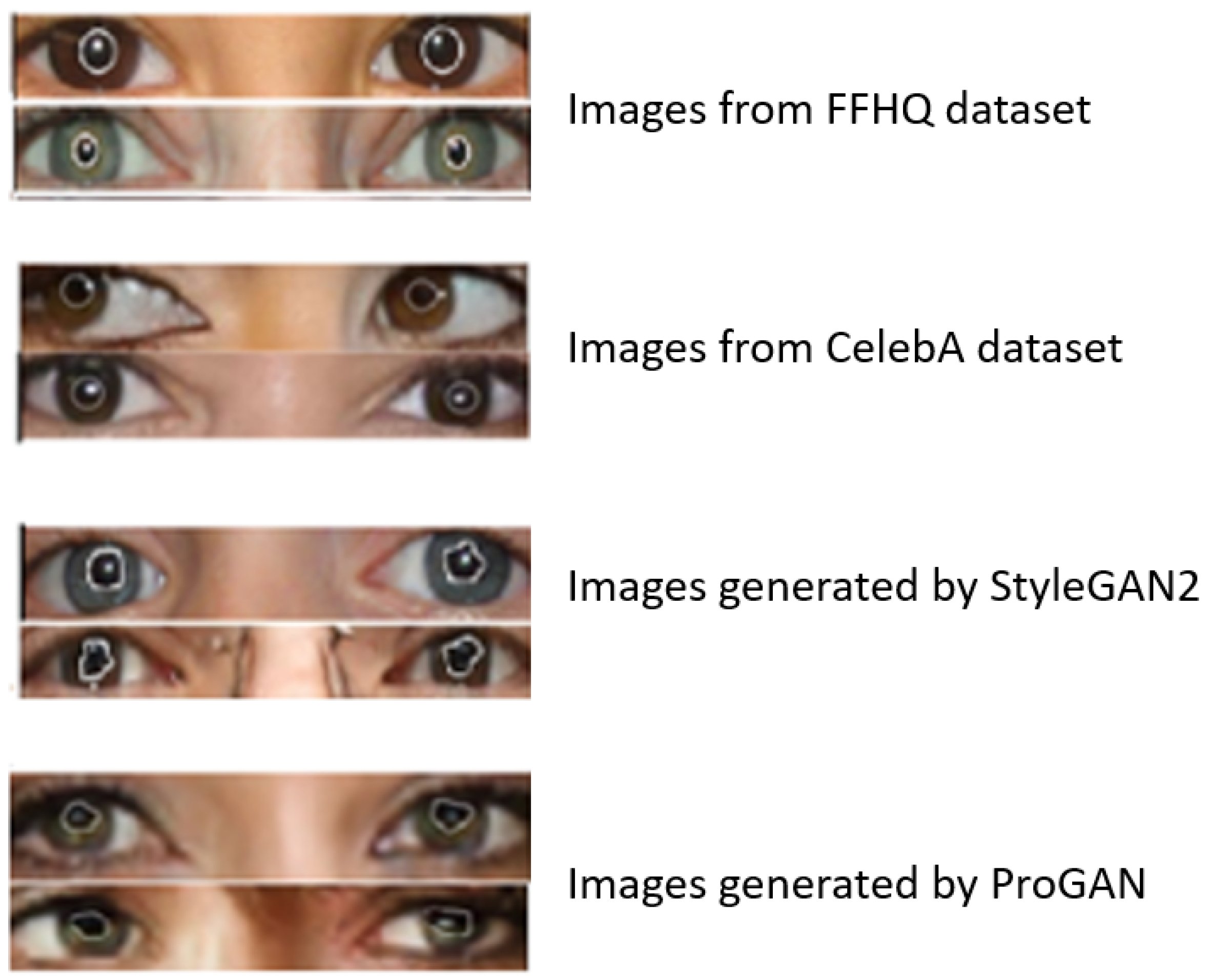 Information 16 00371 g005