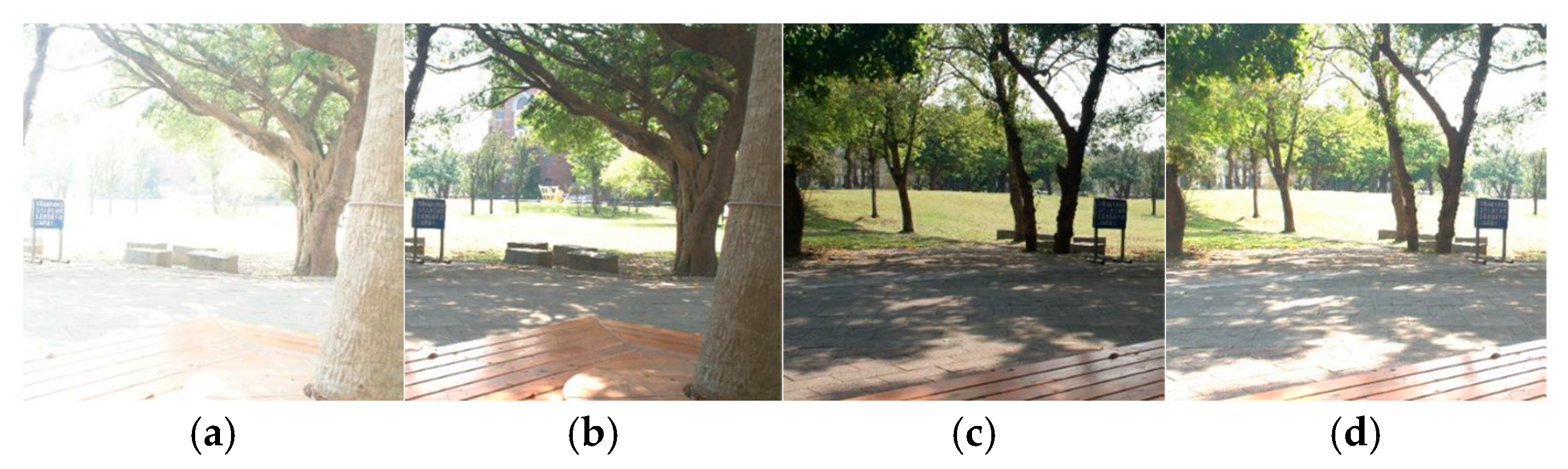 Information 16 00815 g006 Information 16 00815 g006