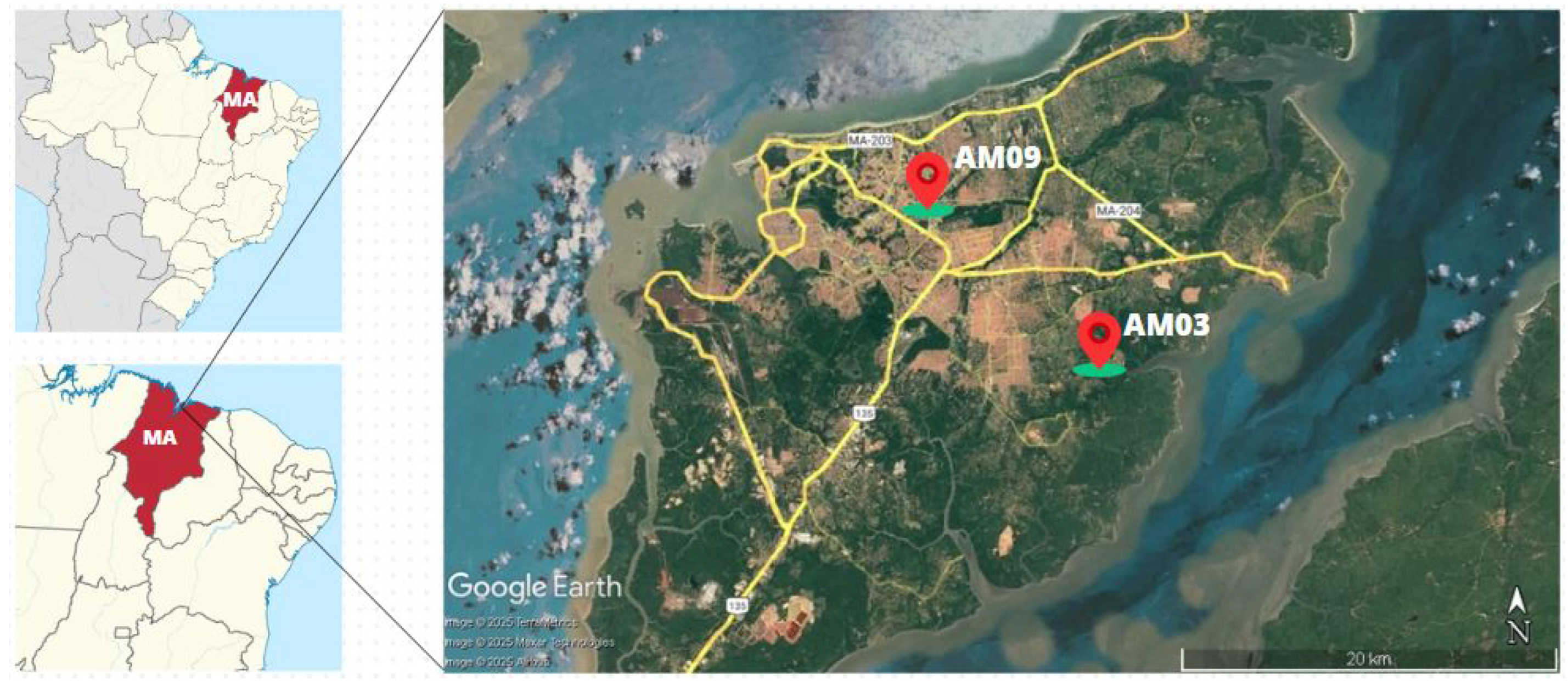 Infrastructures 10 00149 g002