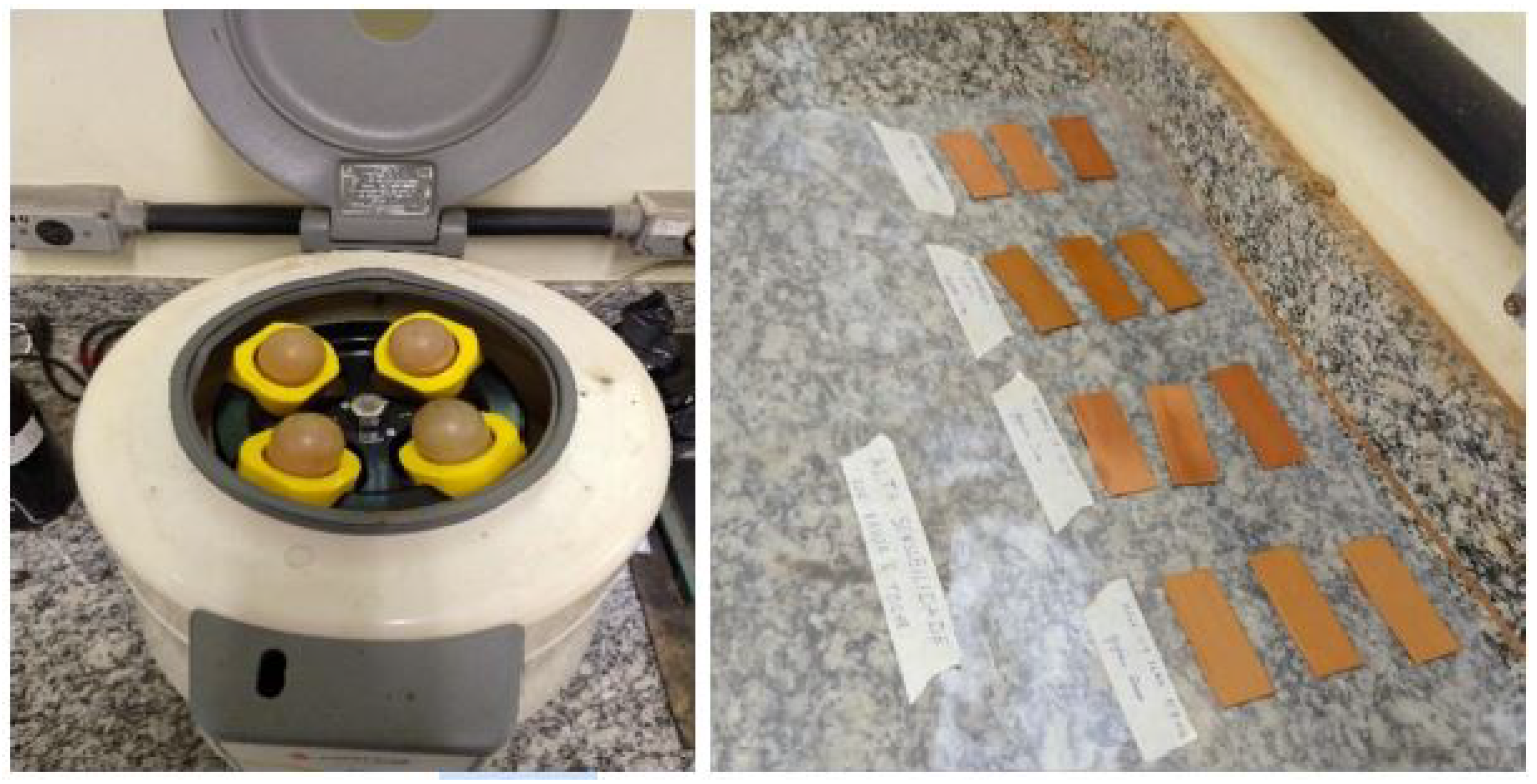 Infrastructures 10 00149 g003