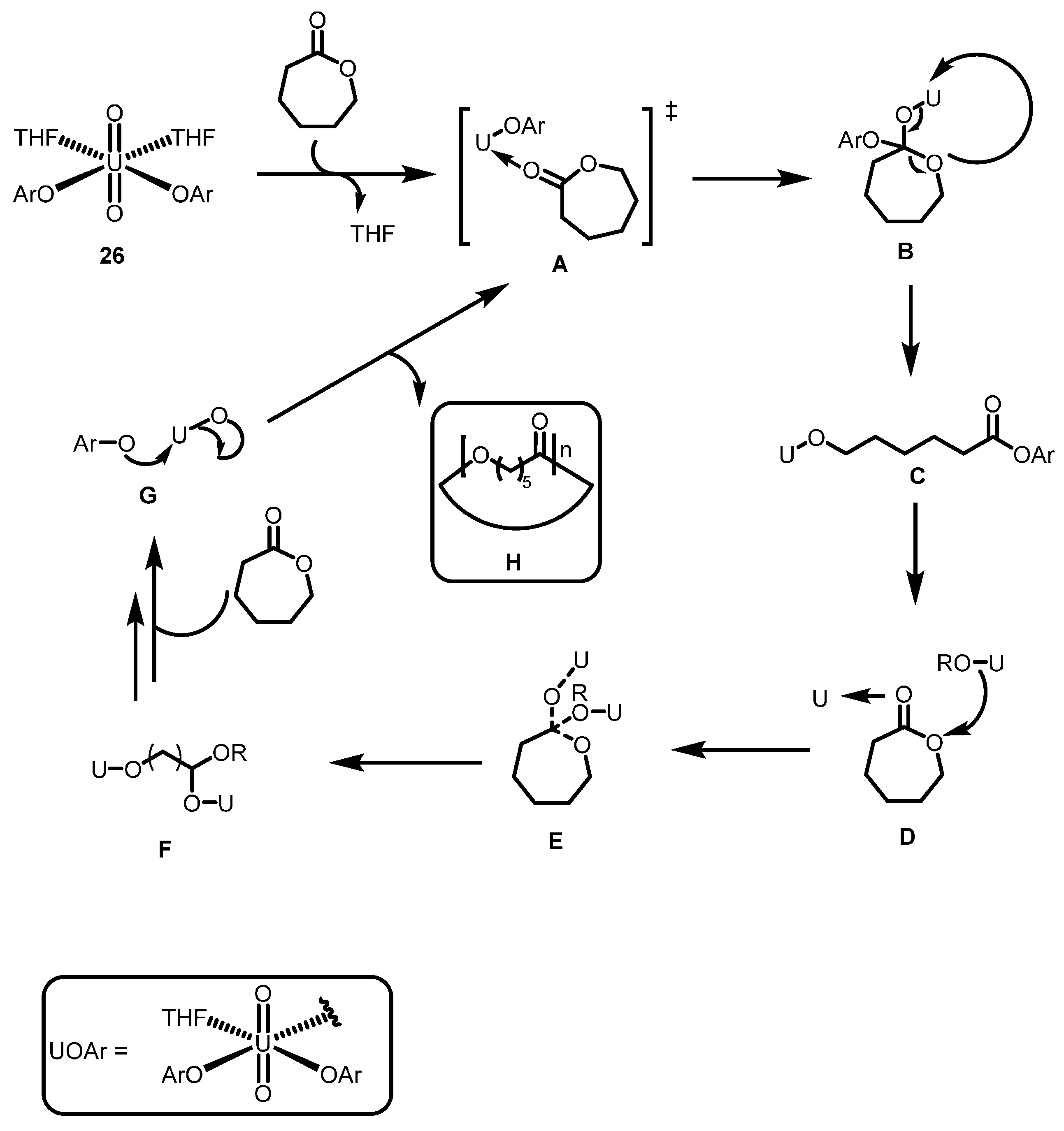 Inorganics 03 00392 g032