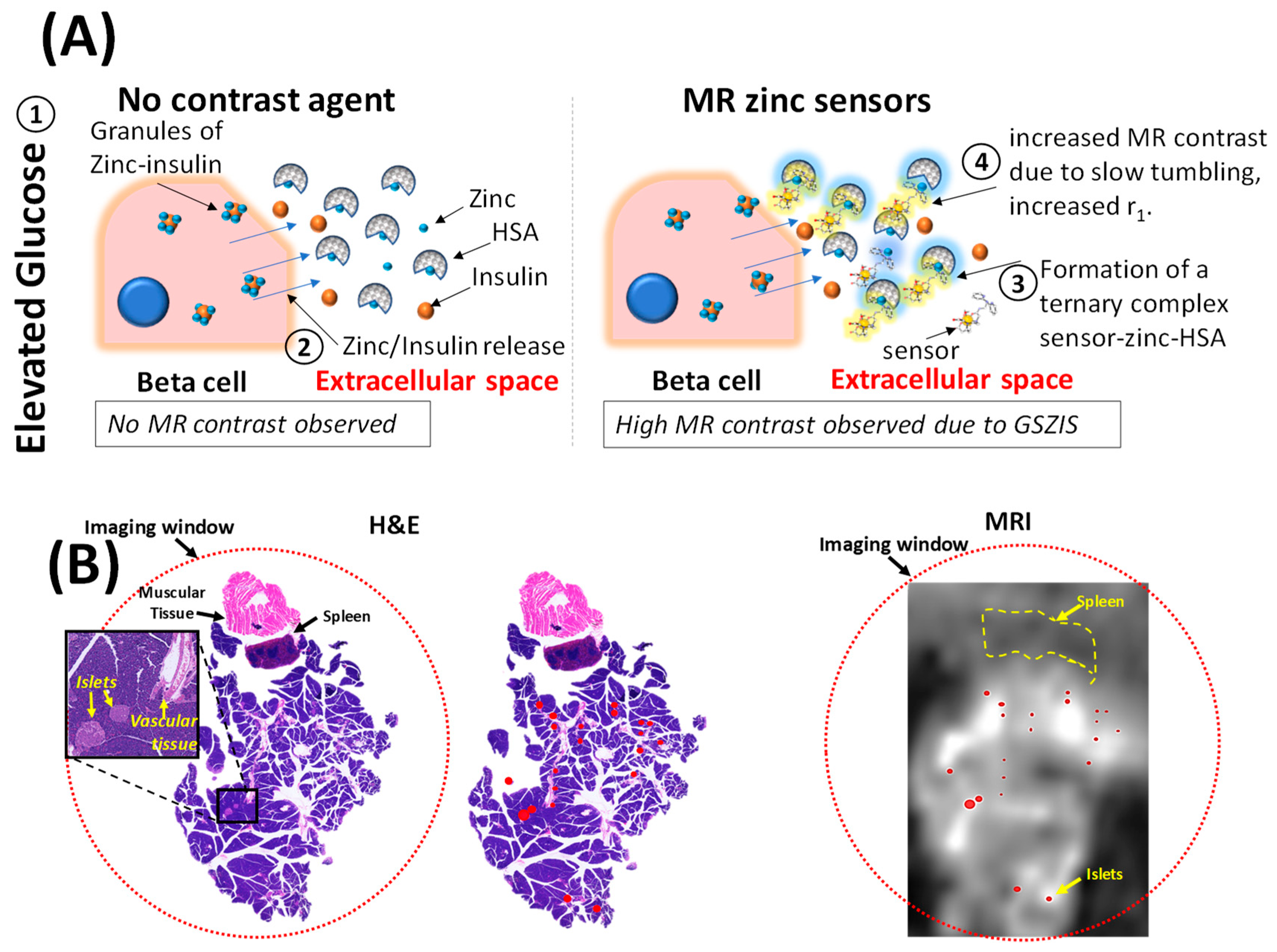 Inorganics 07 00018 g005