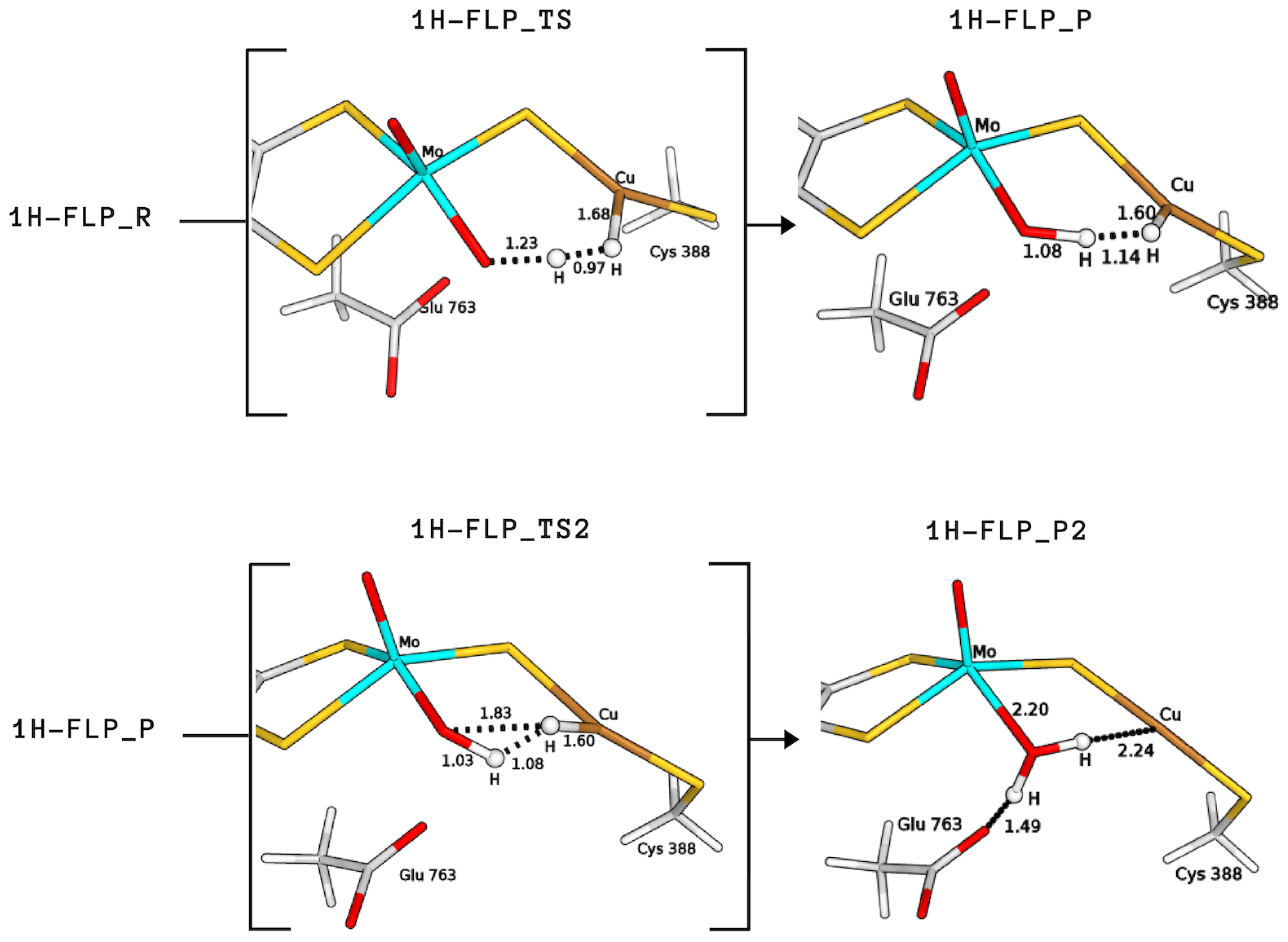 Inorganics Free Full Text Theoretical Insights Into The Aerobic Hydrogenase Activity Of Molybdenum Copper Co Dehydrogenase Html