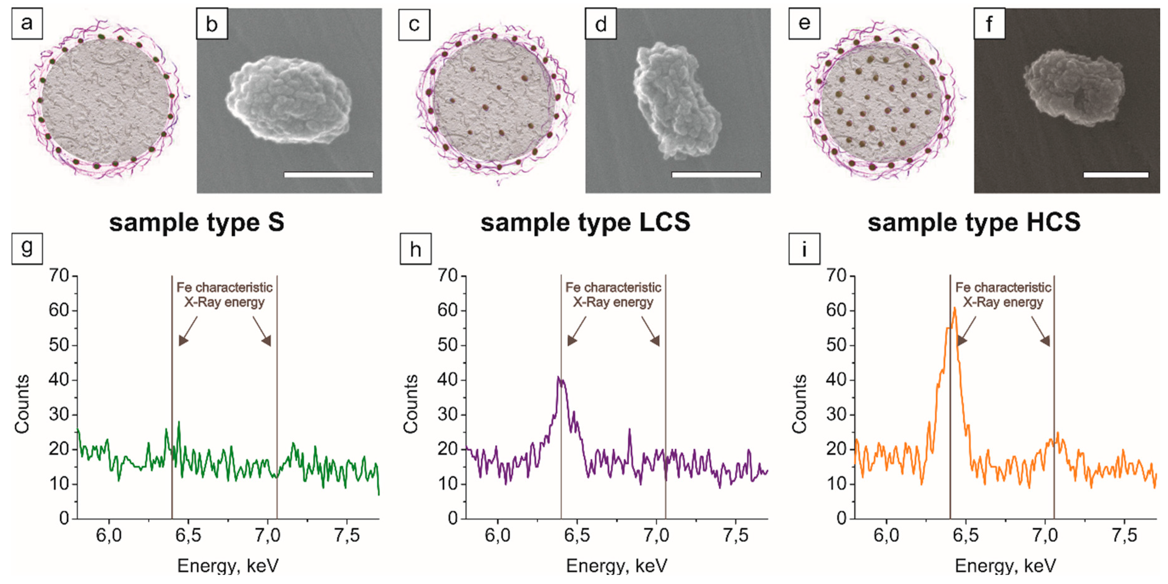 Inorganics Free Full Text Magnetic Composite Submicron Carriers With Structure Dependent Mri Contrast Html