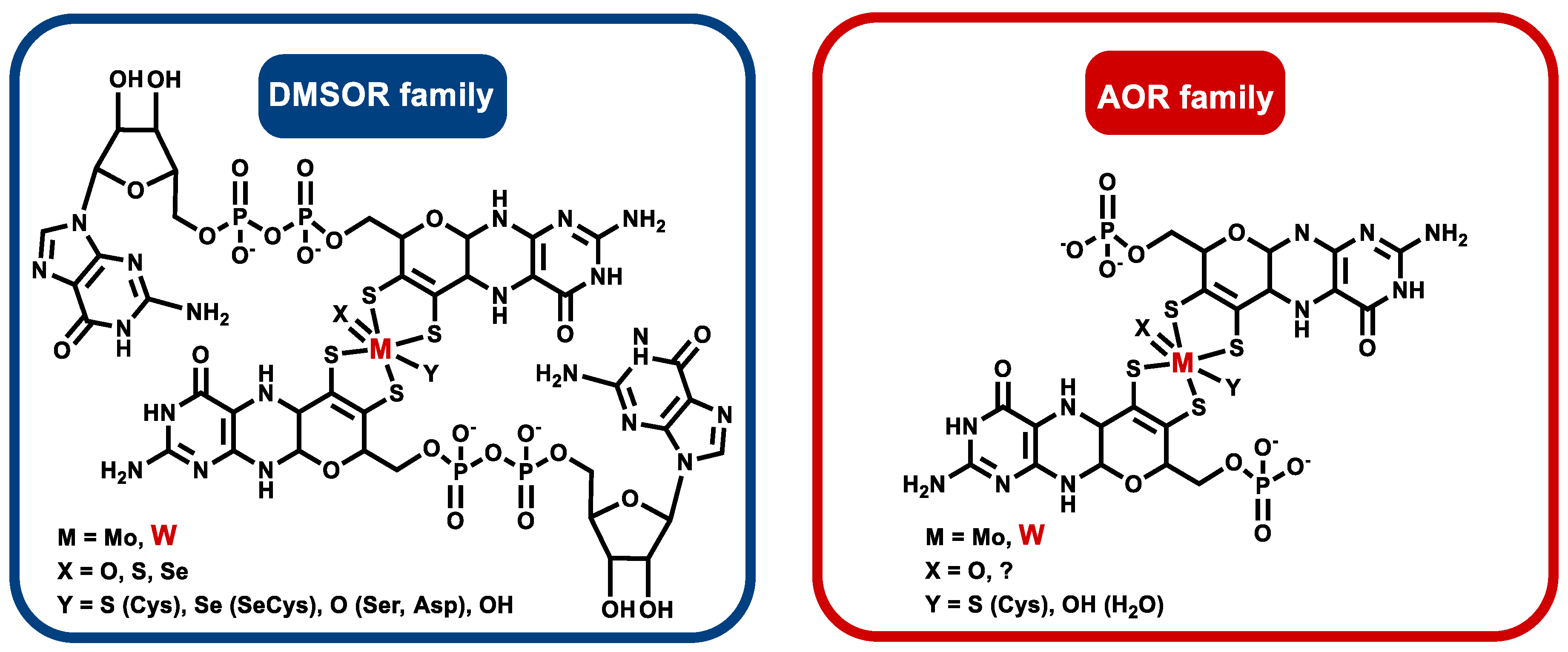 Inorganics Free Full Text Tungstoenzymes Occurrence Catalytic Diversity And Cofactor Synthesis Html