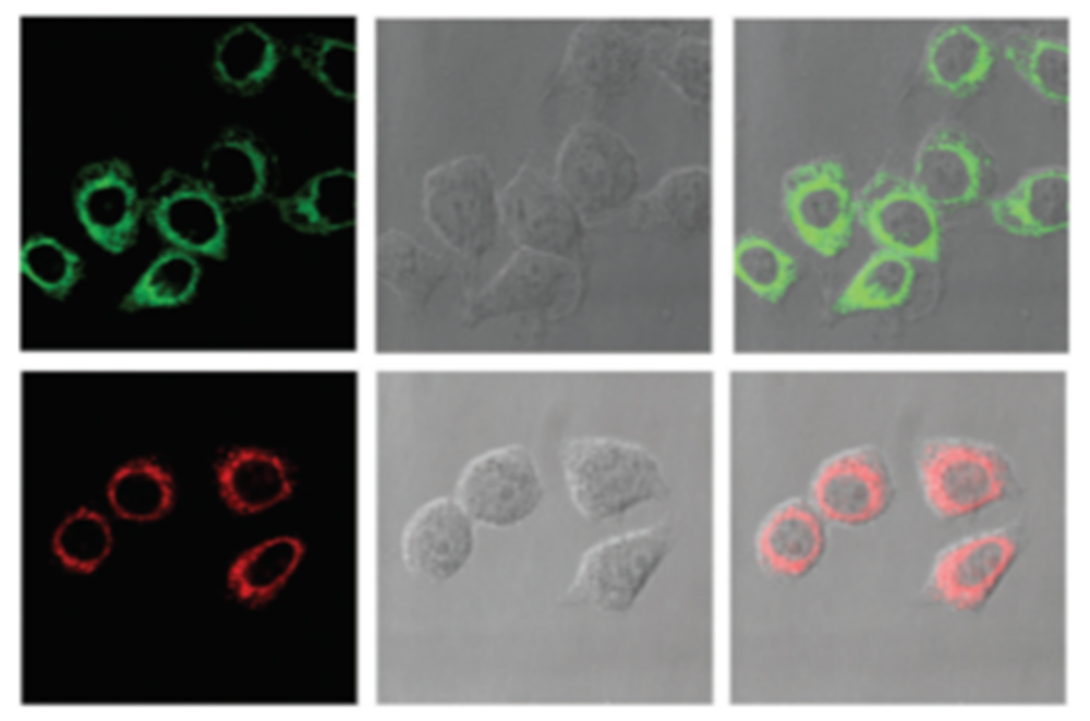 Inorganics 09 00032 g004 Inorganics 09 00032 g004