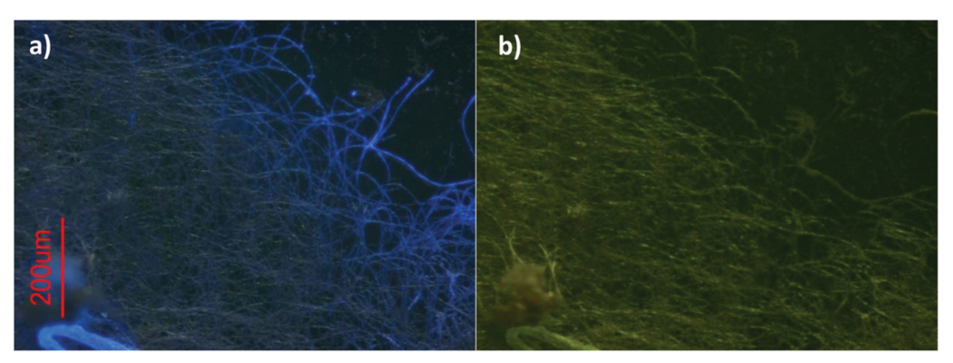 Inorganics 09 00032 g023 Inorganics 09 00032 g023