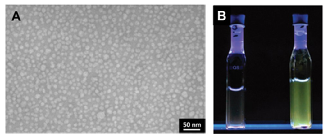 Inorganics 09 00032 g024 Inorganics 09 00032 g024