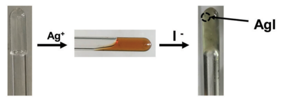 Inorganics 09 00032 g036 Inorganics 09 00032 g036