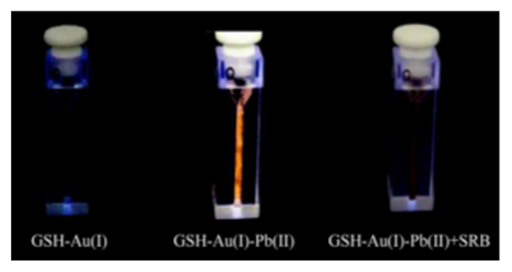 Inorganics 09 00032 g040 Inorganics 09 00032 g040