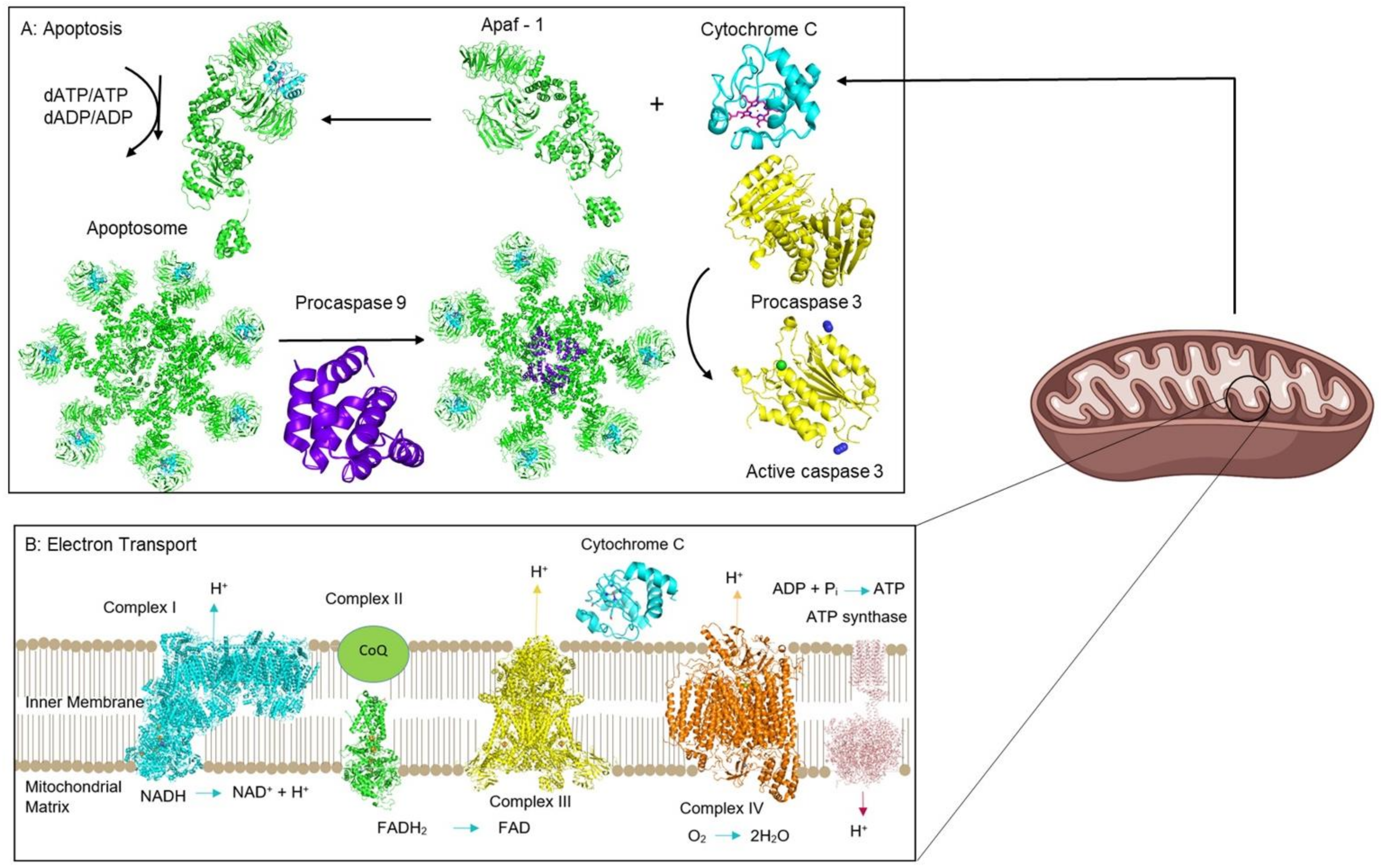 Inorganics 09 00083 g002