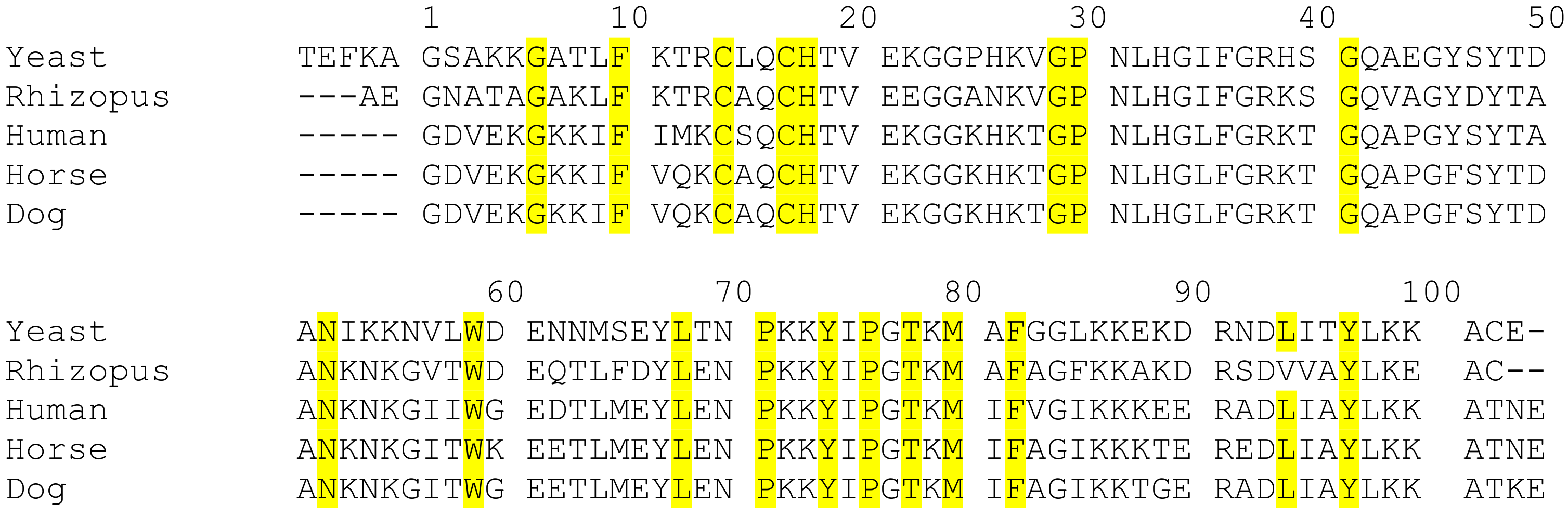 Inorganics 09 00083 g004