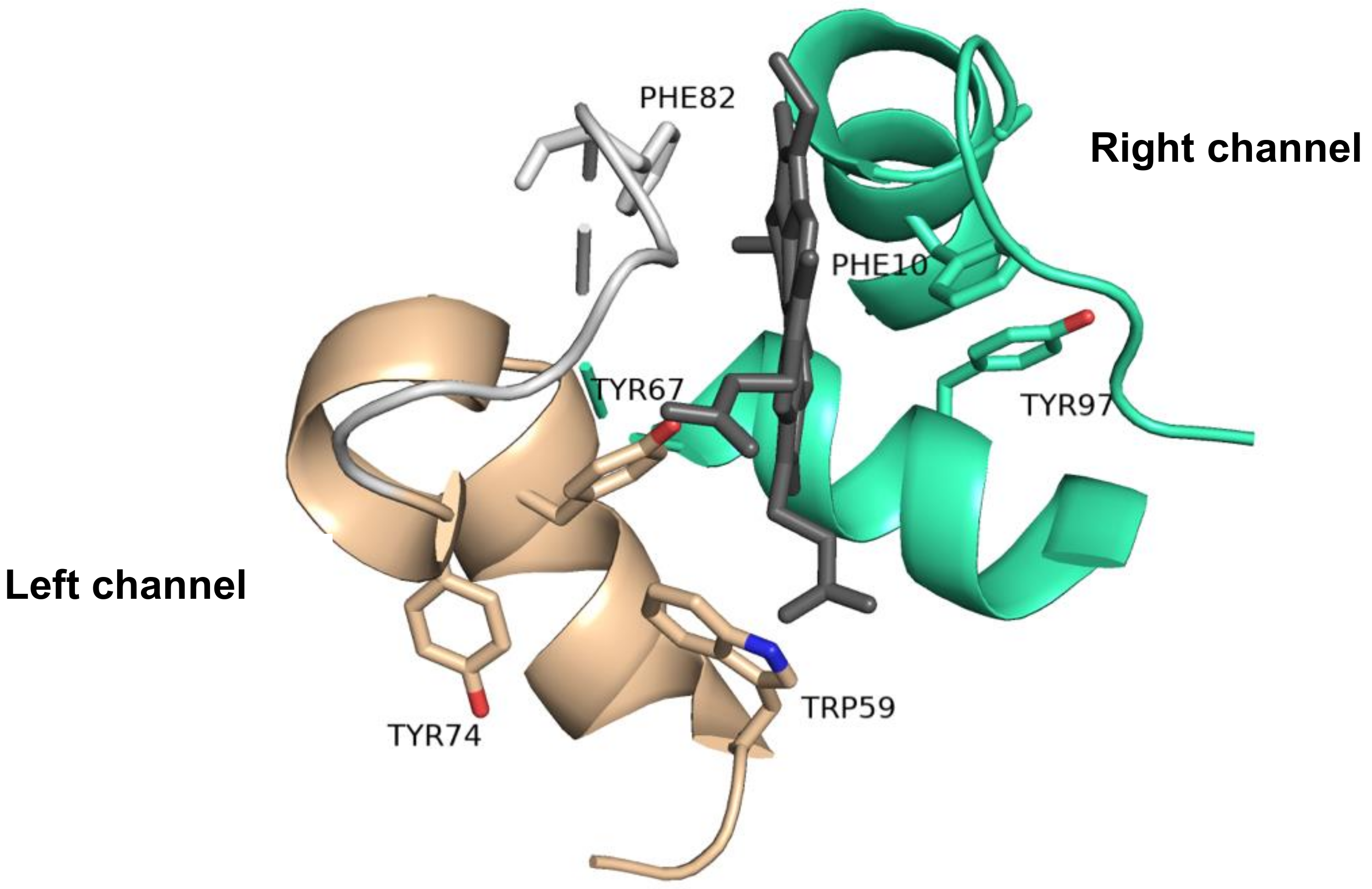 Inorganics 09 00083 g006