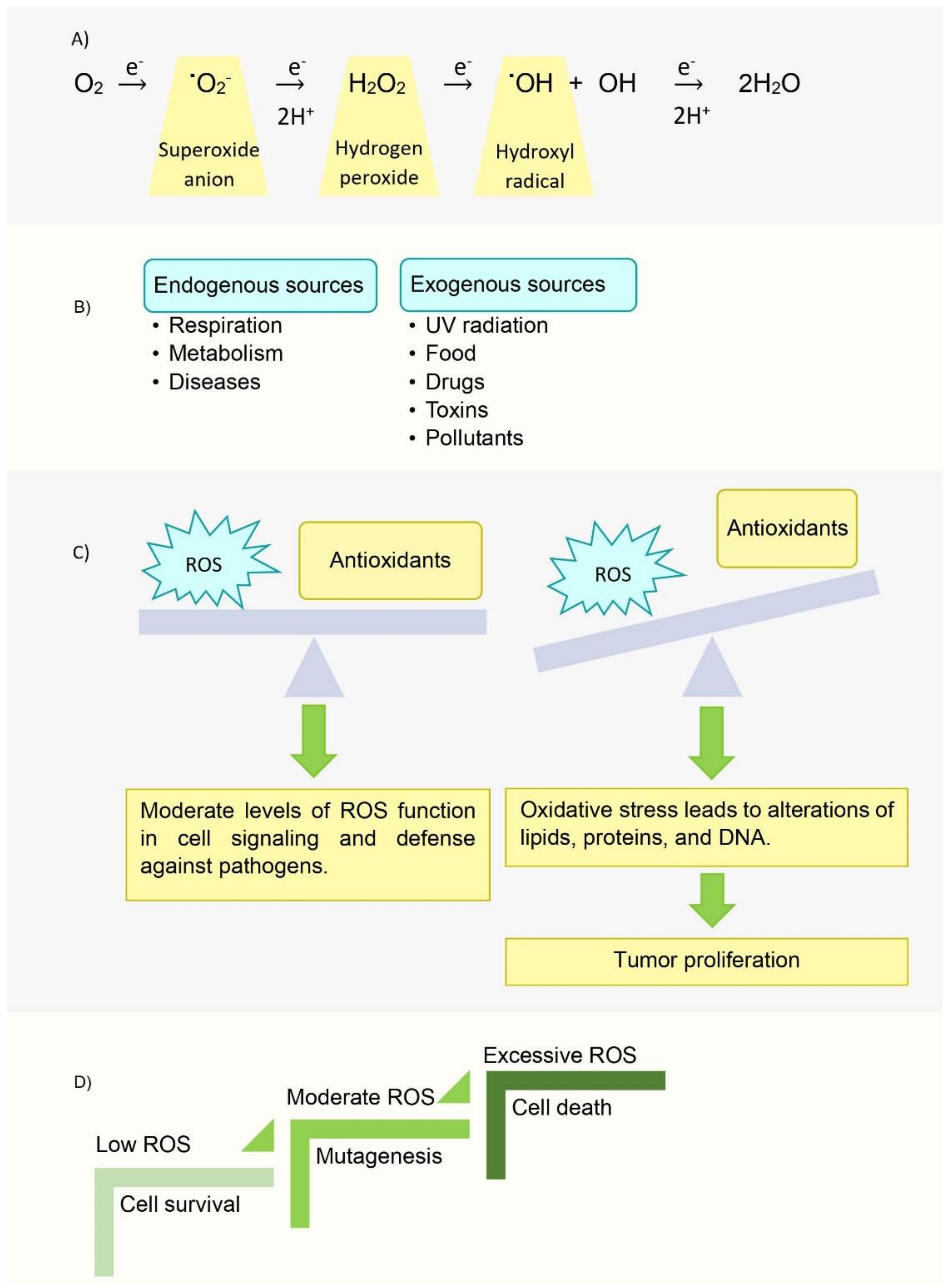 Inorganics 09 00083 g008