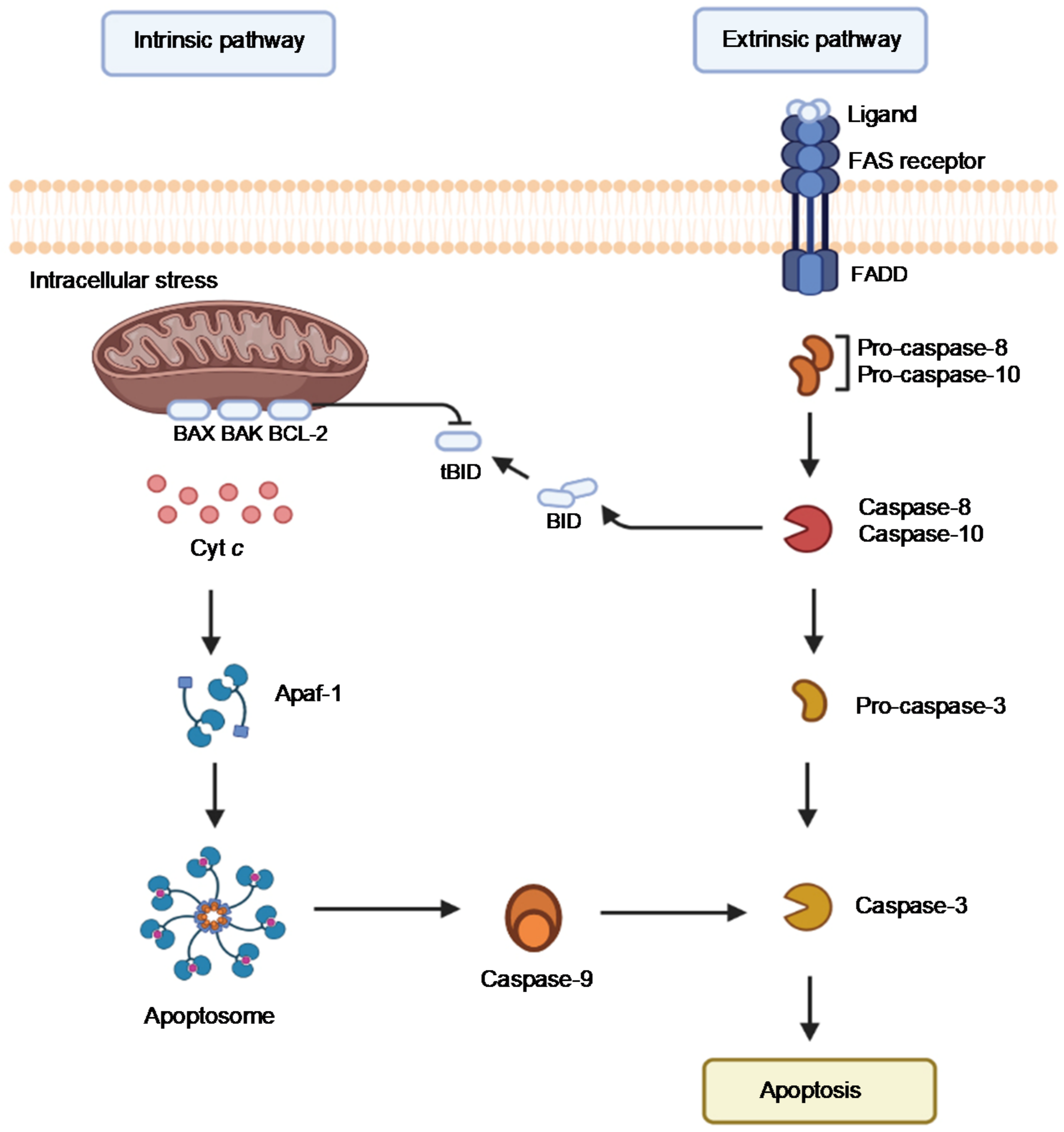 Inorganics 09 00083 g009