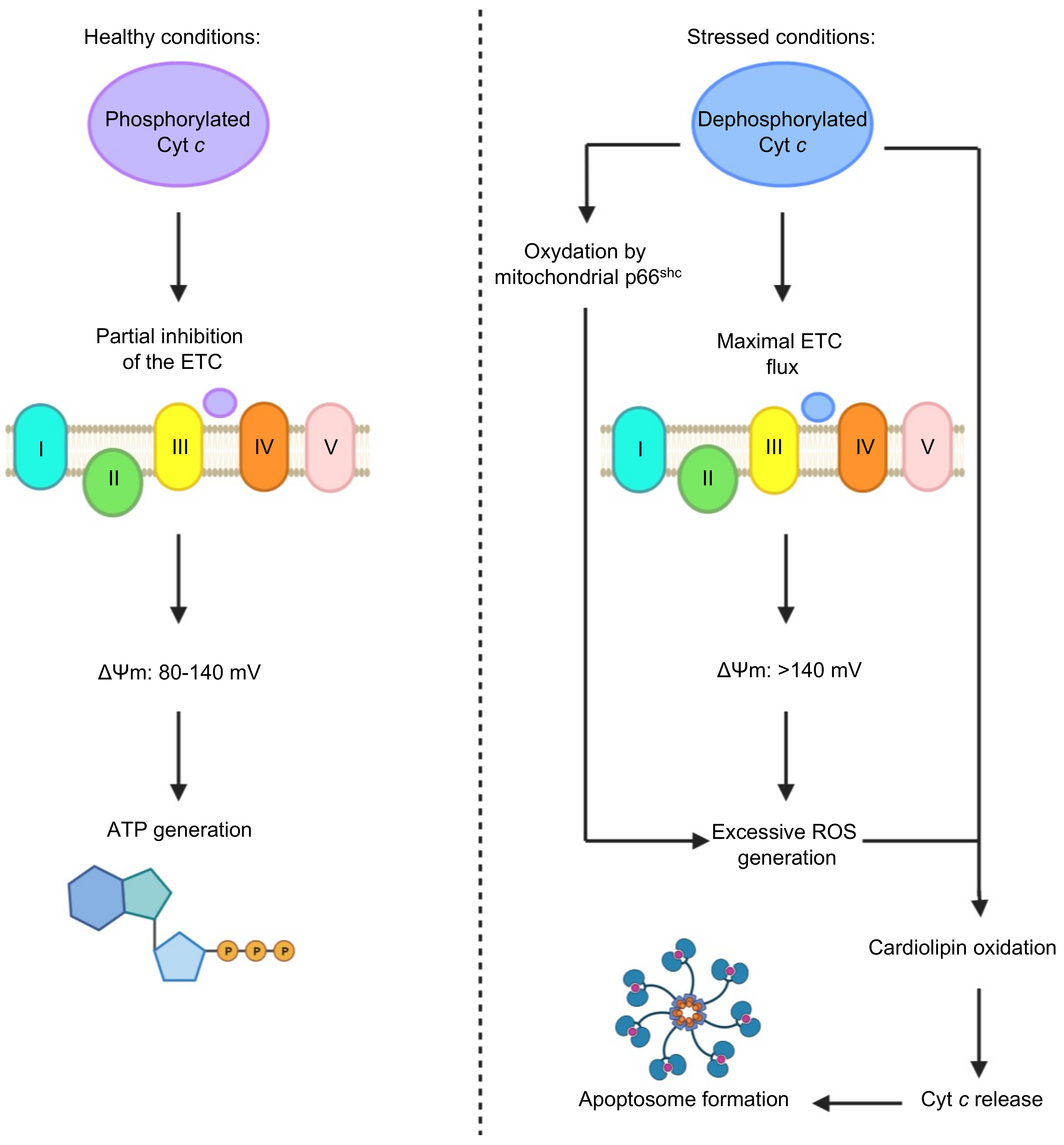 Inorganics 09 00083 g010