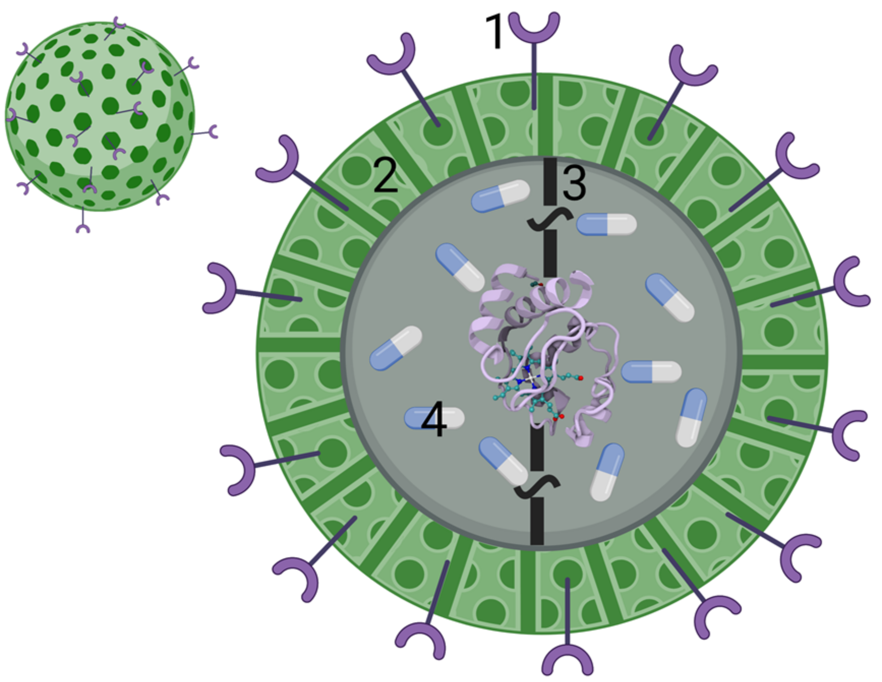Inorganics 09 00083 g012