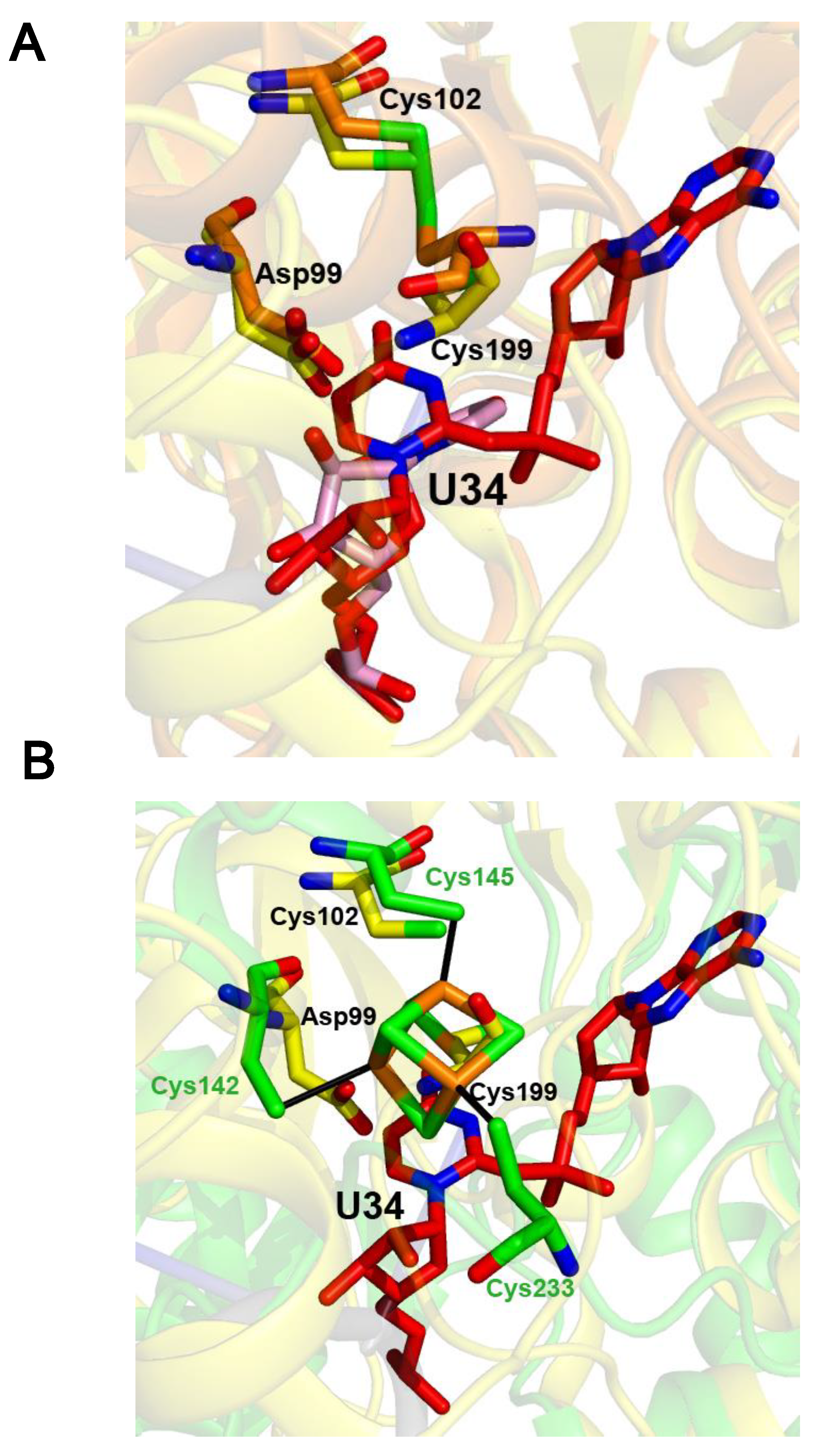 Inorganics 10 00002 g003