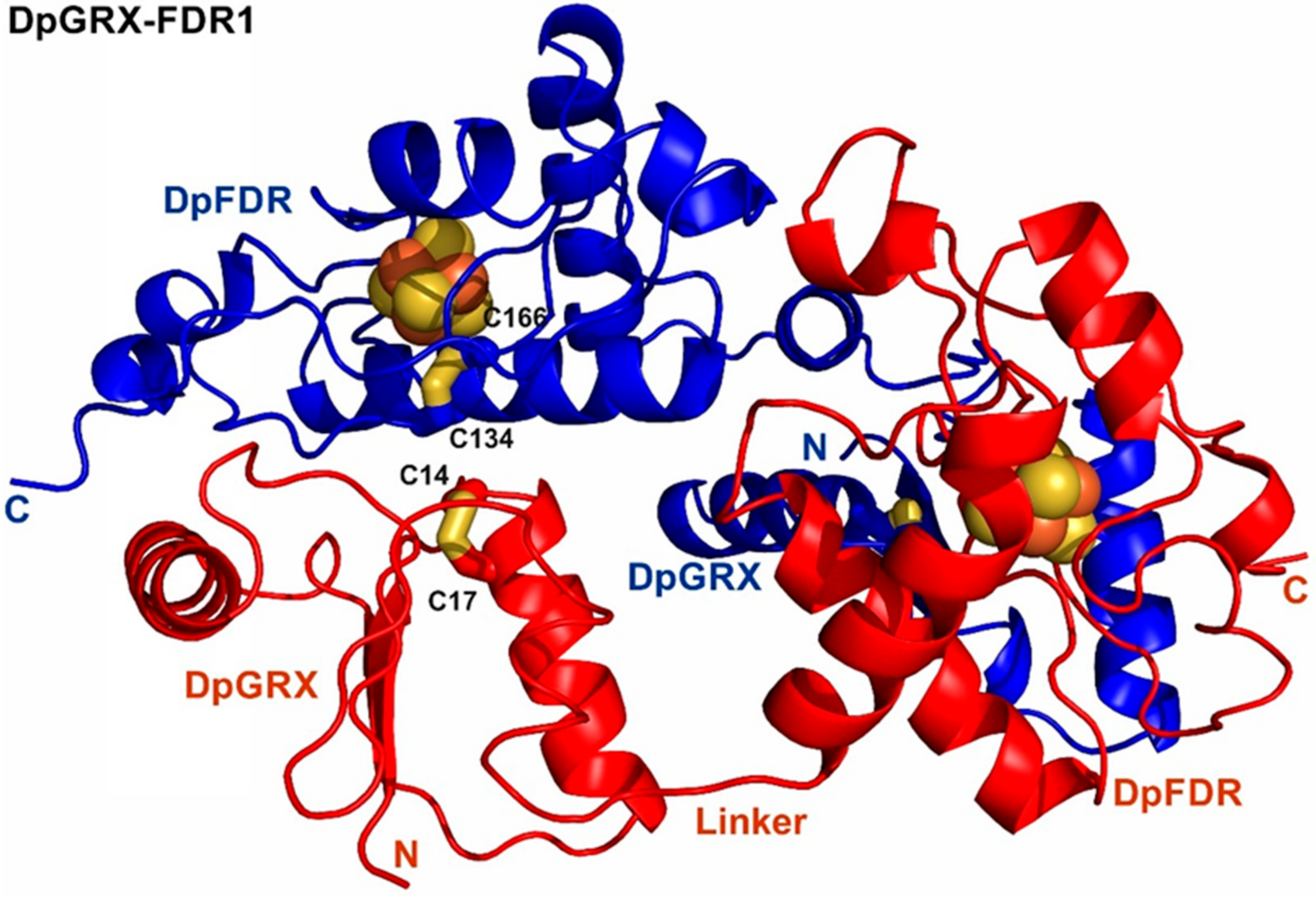 Inorganics 10 00024 g004