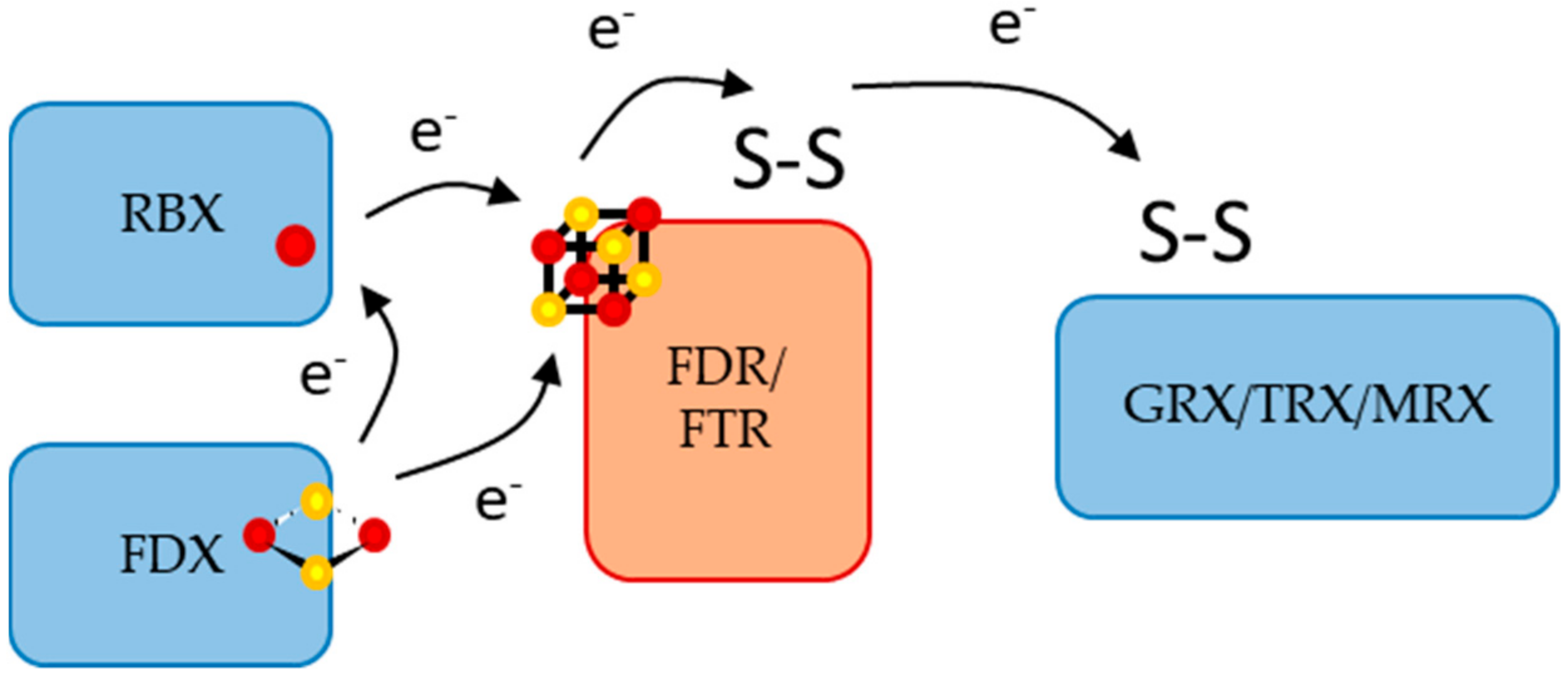 Inorganics 10 00024 g008