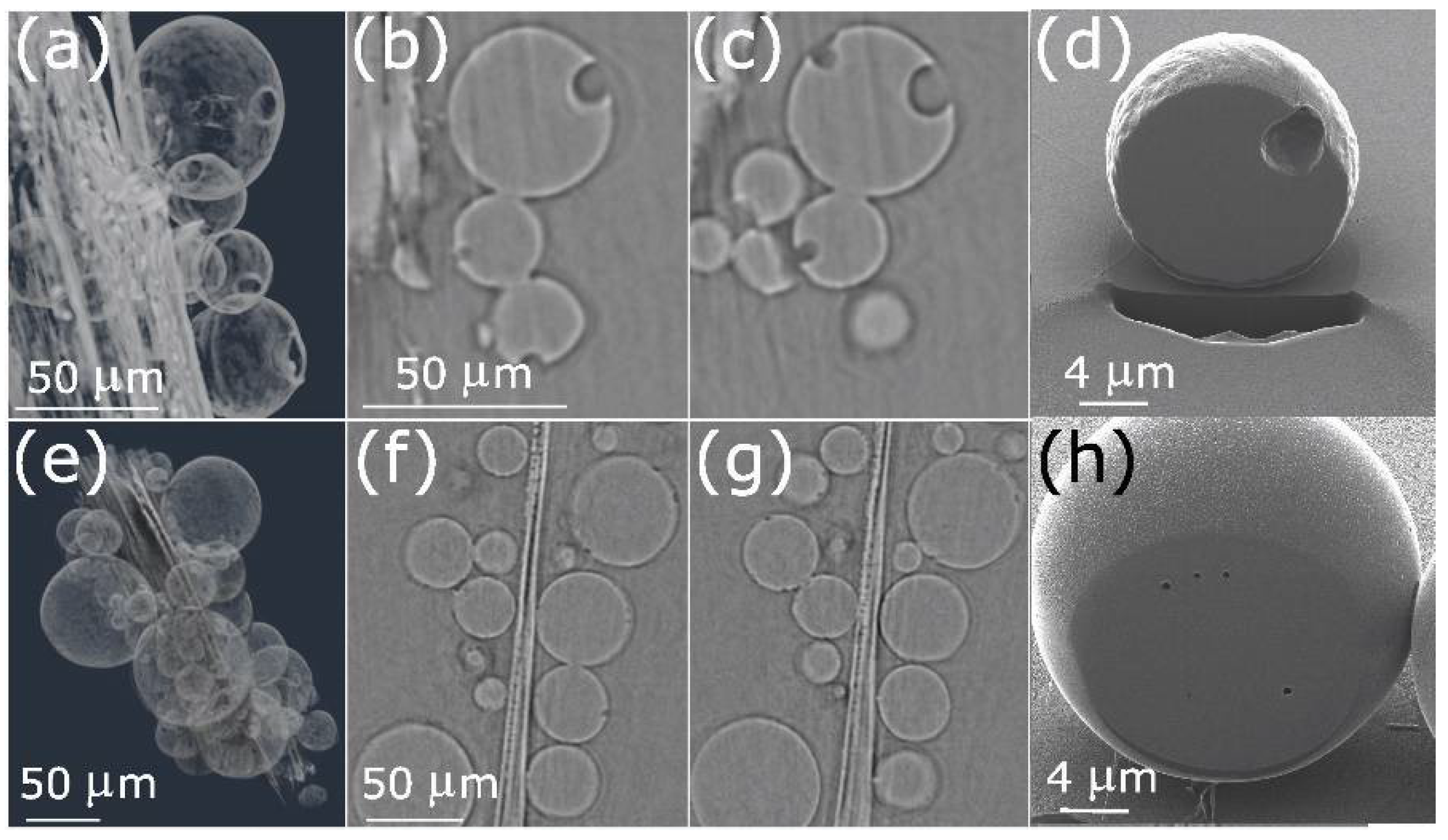 Inorganics 10 00101 g003