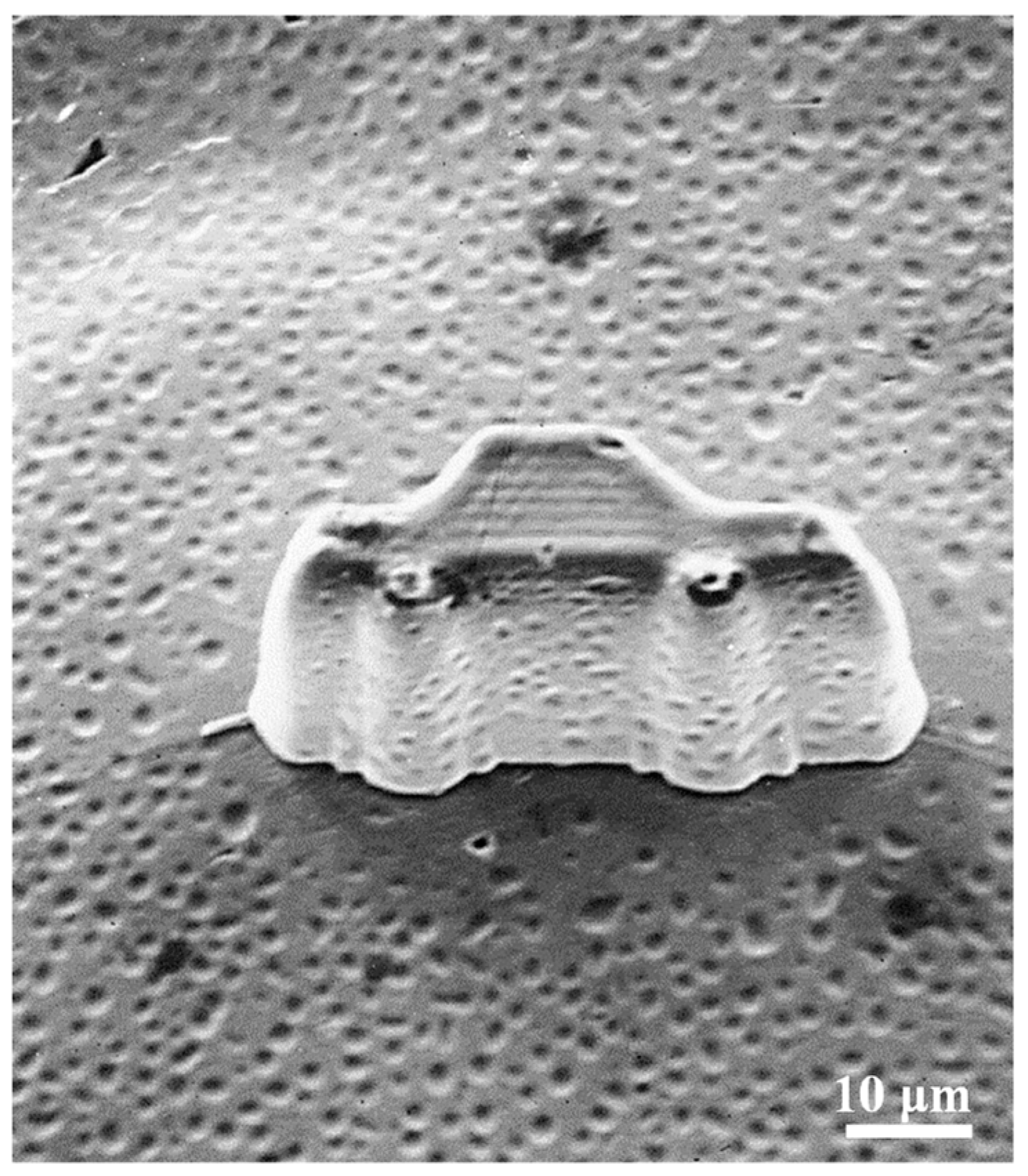 Inorganics 10 00165 g005