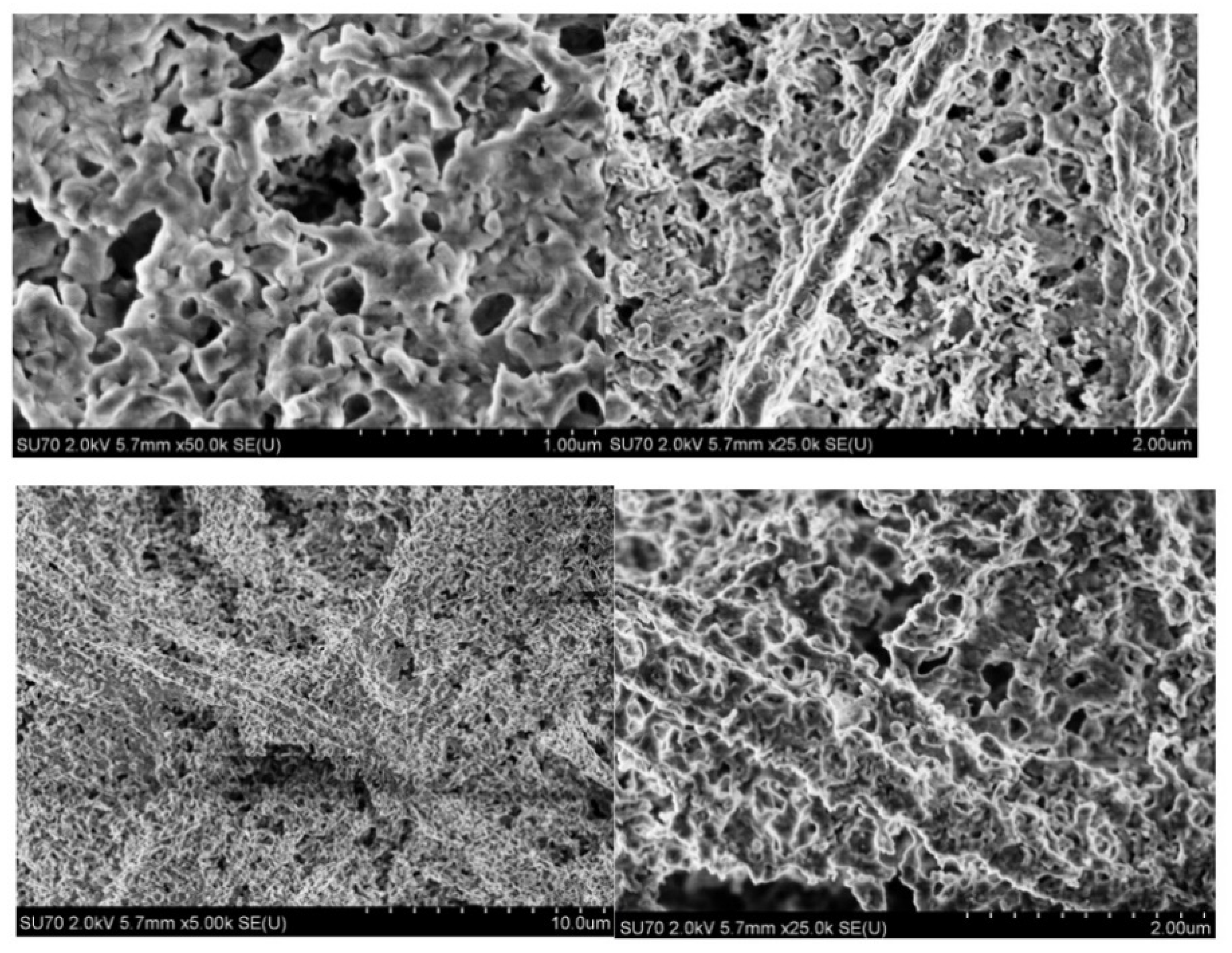 Inorganics 11 00033 g005