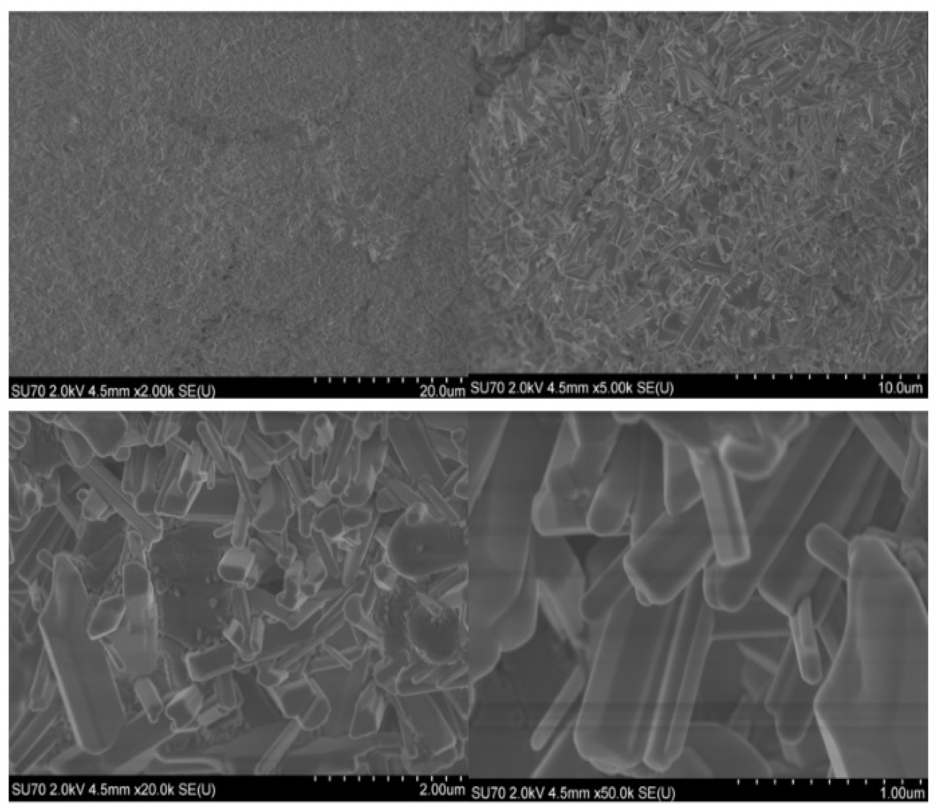 Inorganics 11 00033 g007