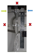 Inorganics 11 00049 i010