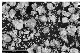 Inorganics 11 00049 i021