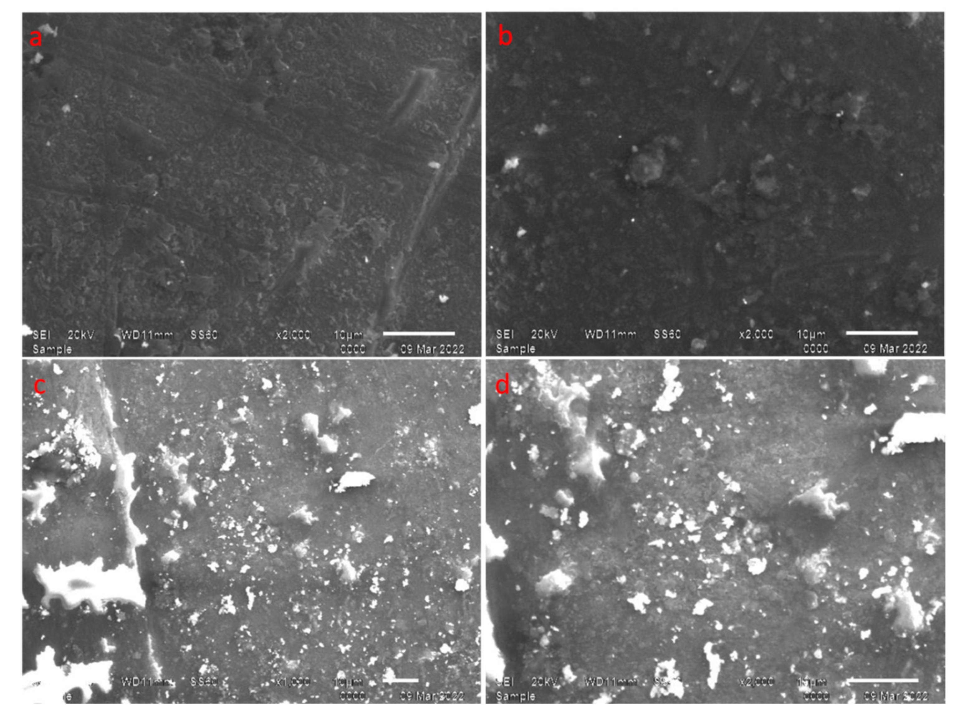 Inorganics 11 00074 g005 Inorganics 11 00074 g005