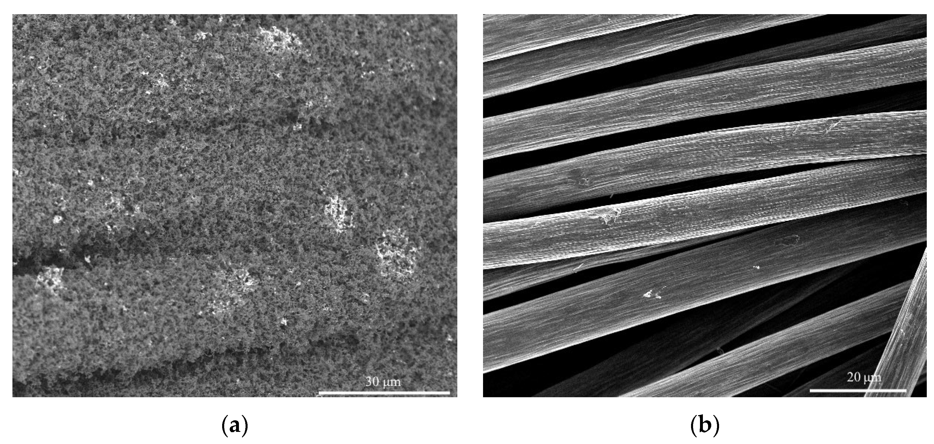 Inorganics 11 00219 g003