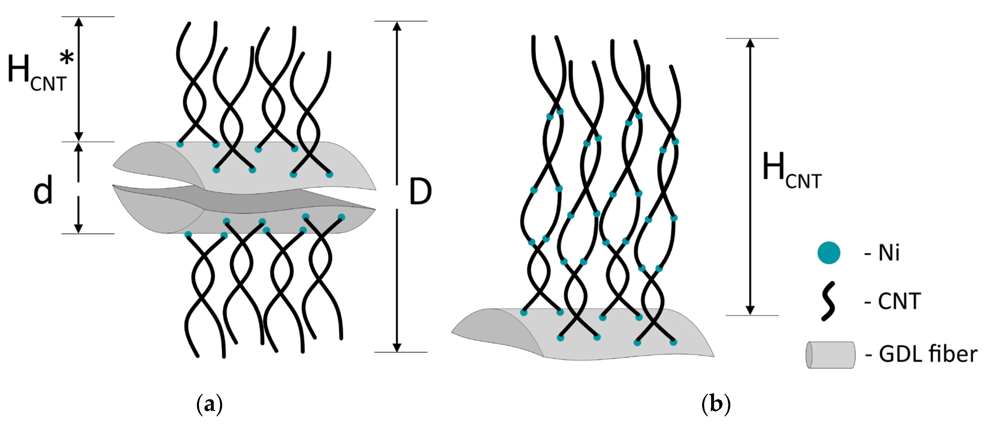 Inorganics 11 00219 g007
