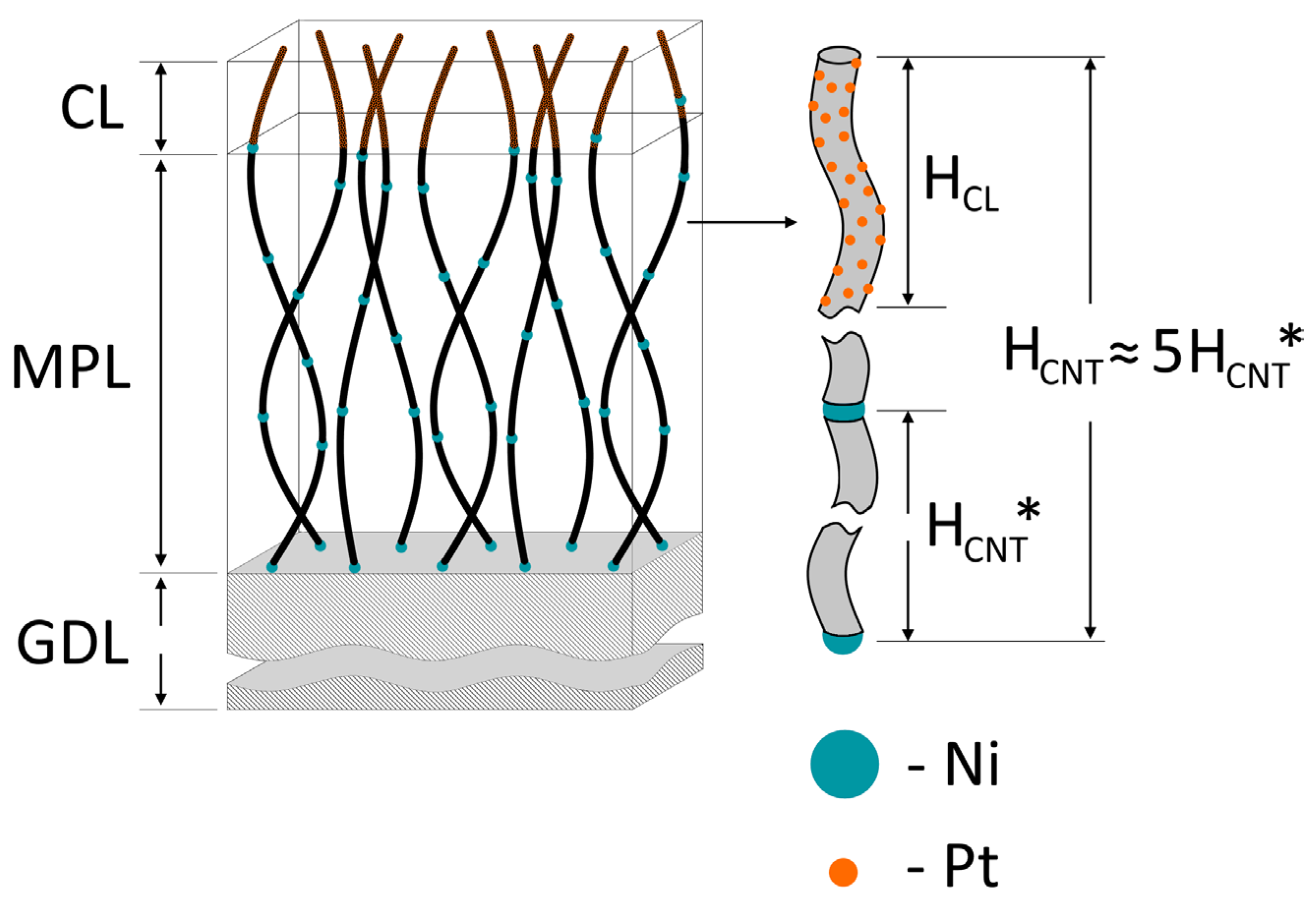 Inorganics 11 00219 g008