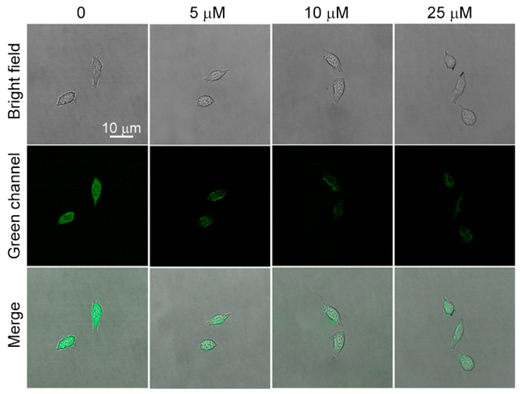Inorganics 11 00226 g005 Inorganics 11 00226 g005