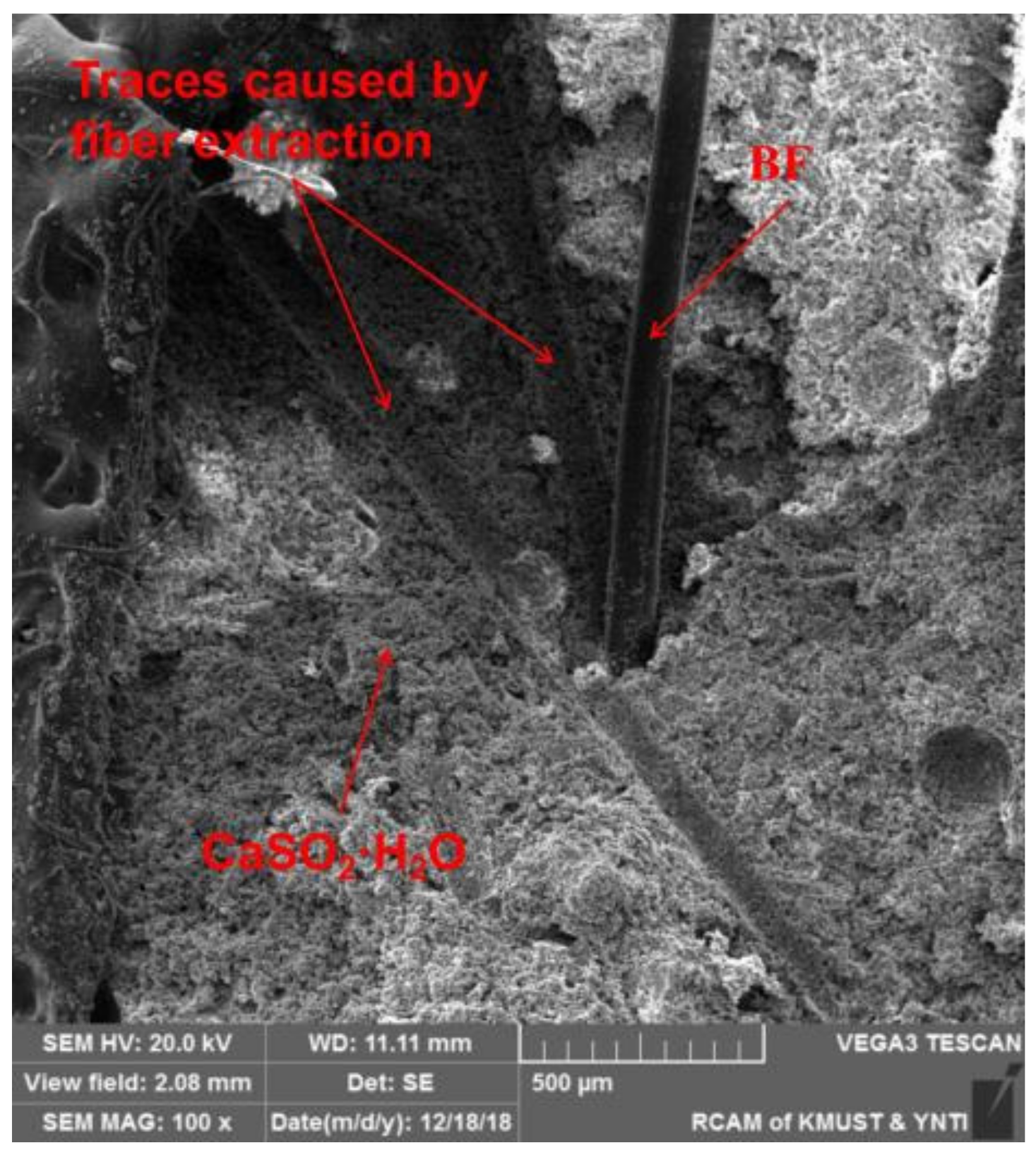Inorganics 11 00254 g007
