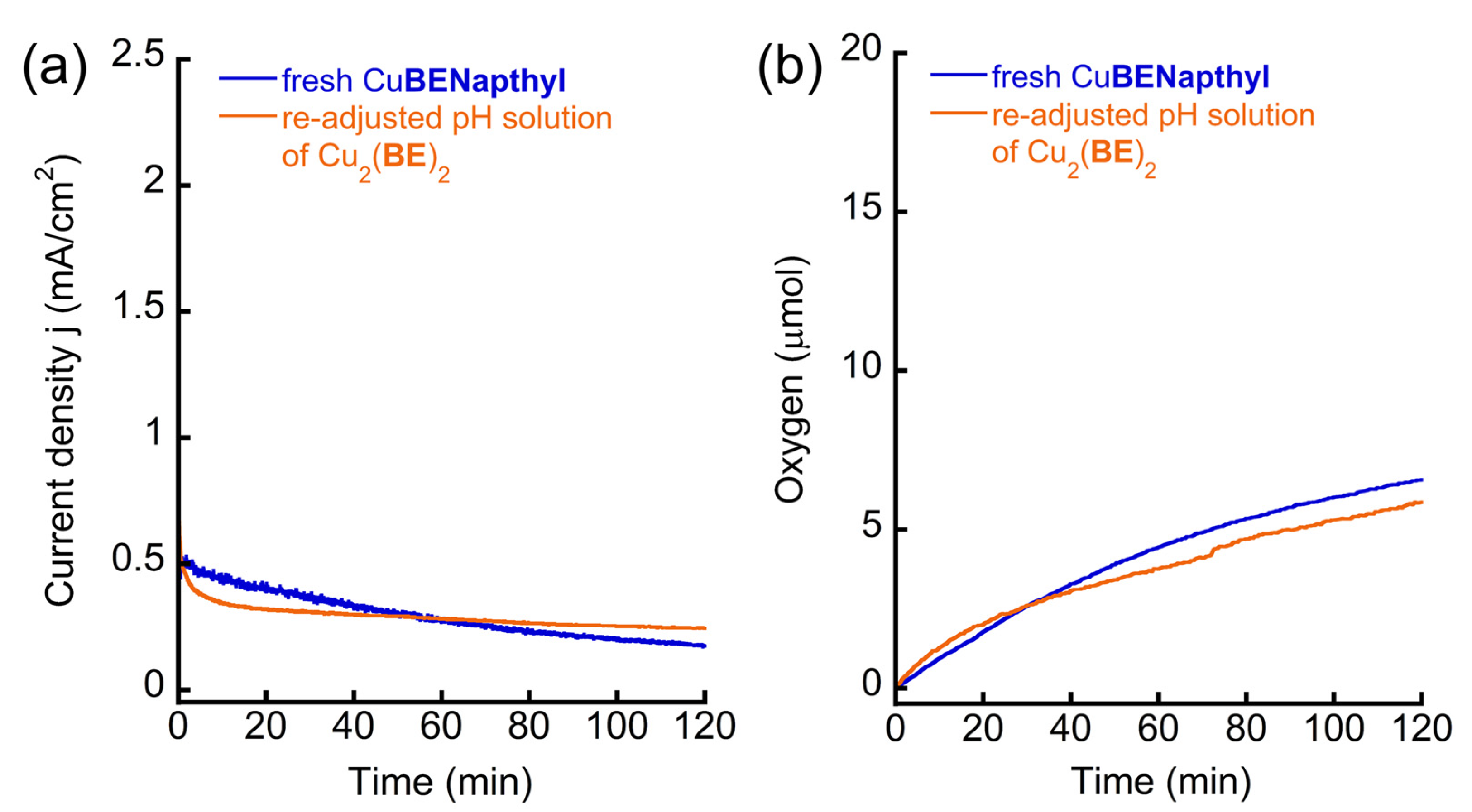 Inorganics 11 00312 g005