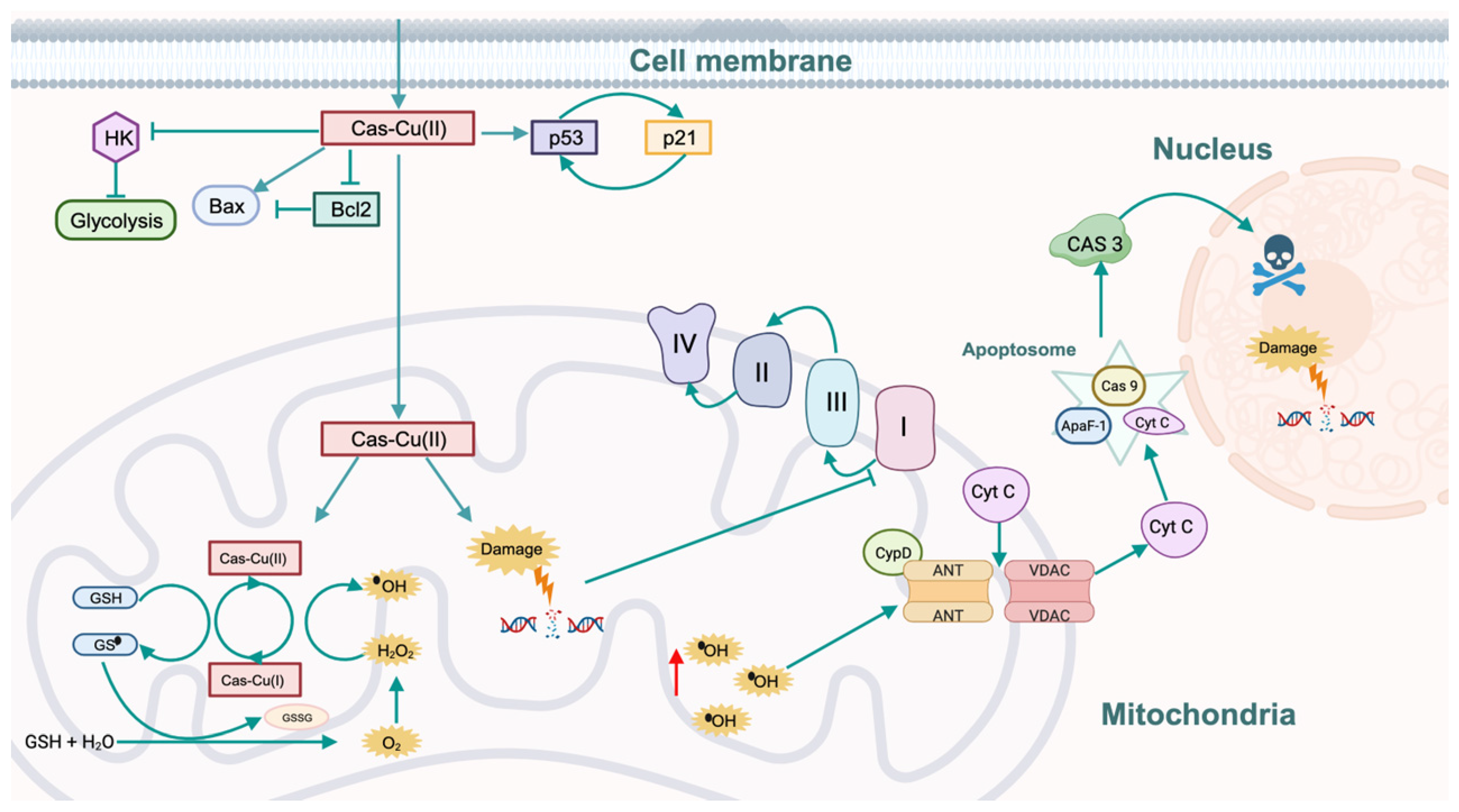 Inorganics 11 00394 g006