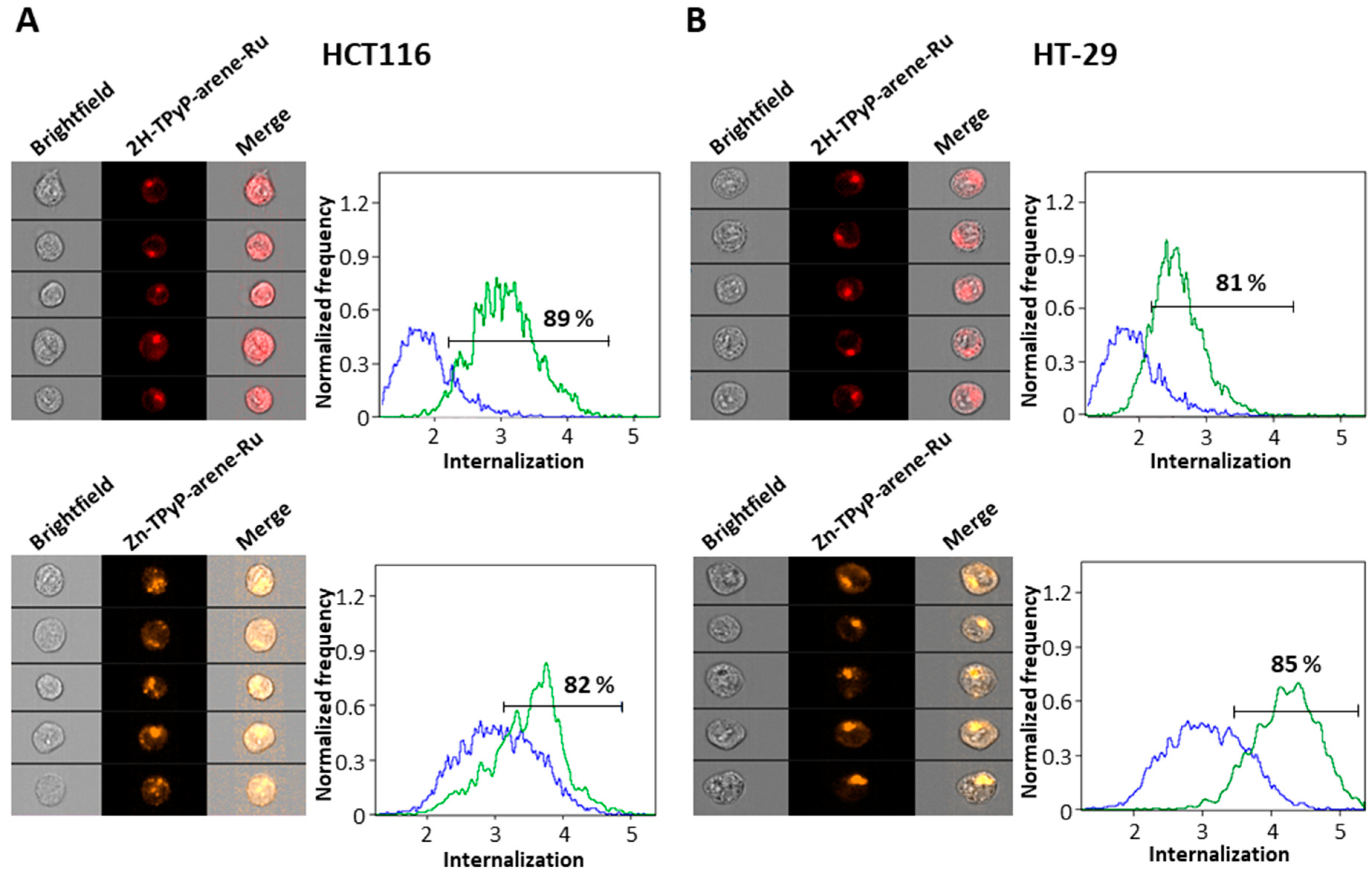 Inorganics 11 00451 g005