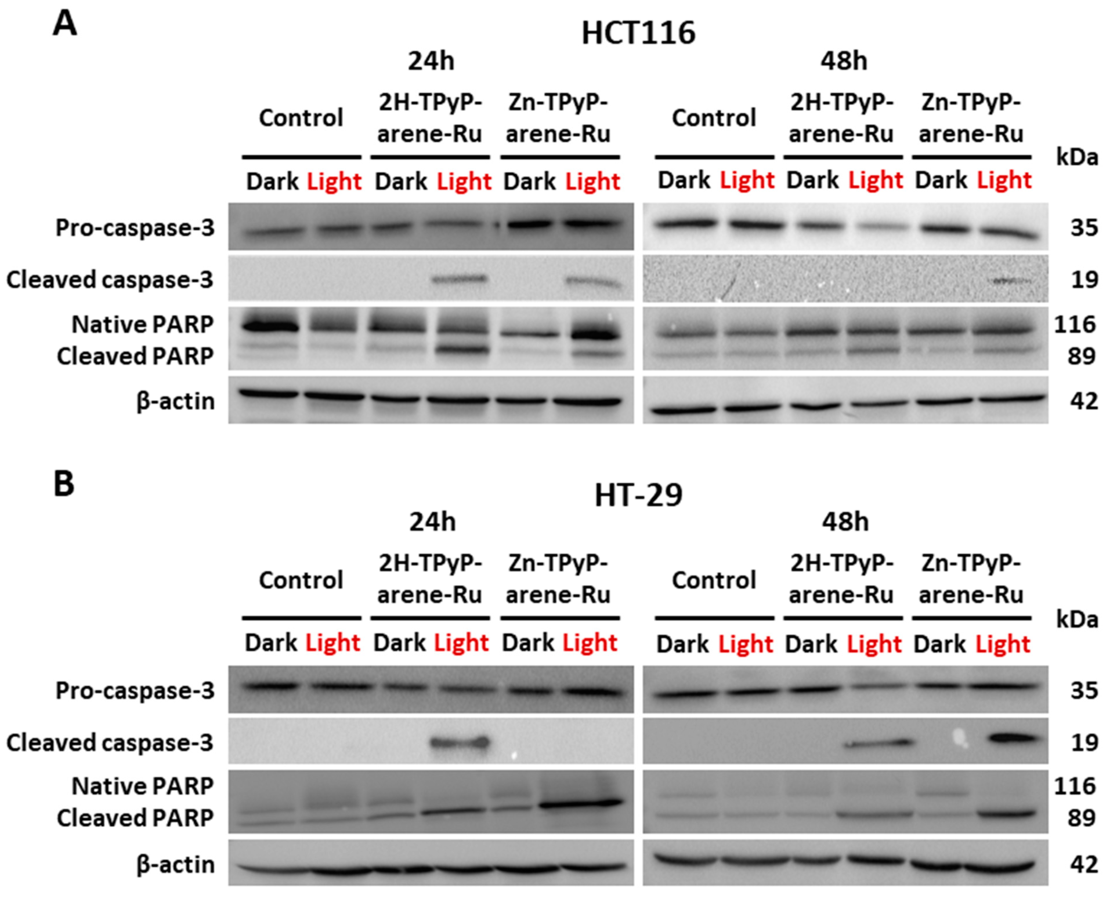 Inorganics 11 00451 g012