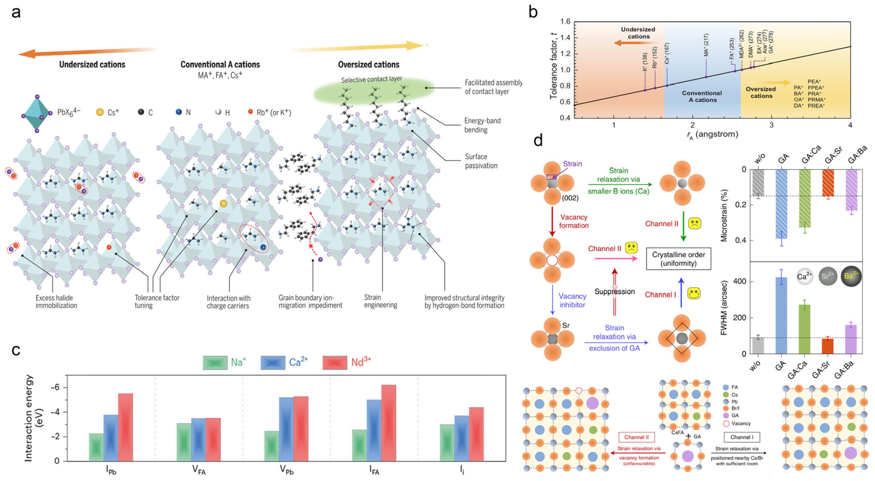 Inorganics 12 00052 g006