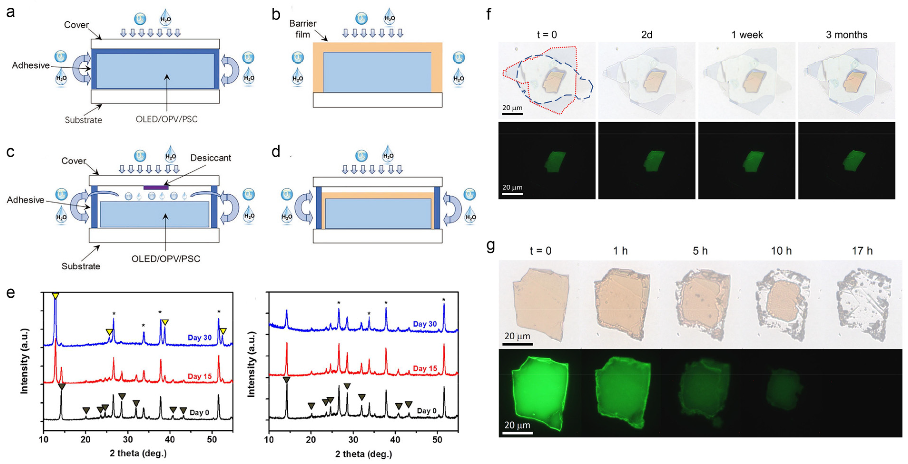 Inorganics 12 00052 g008