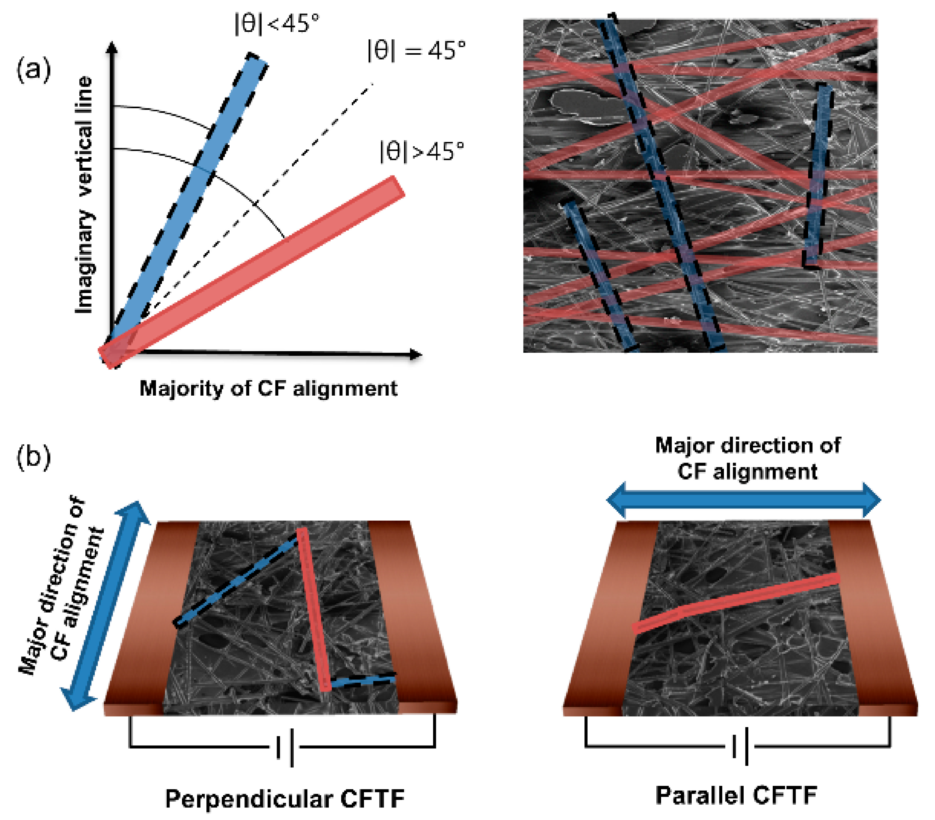 Inorganics 12 00065 g006