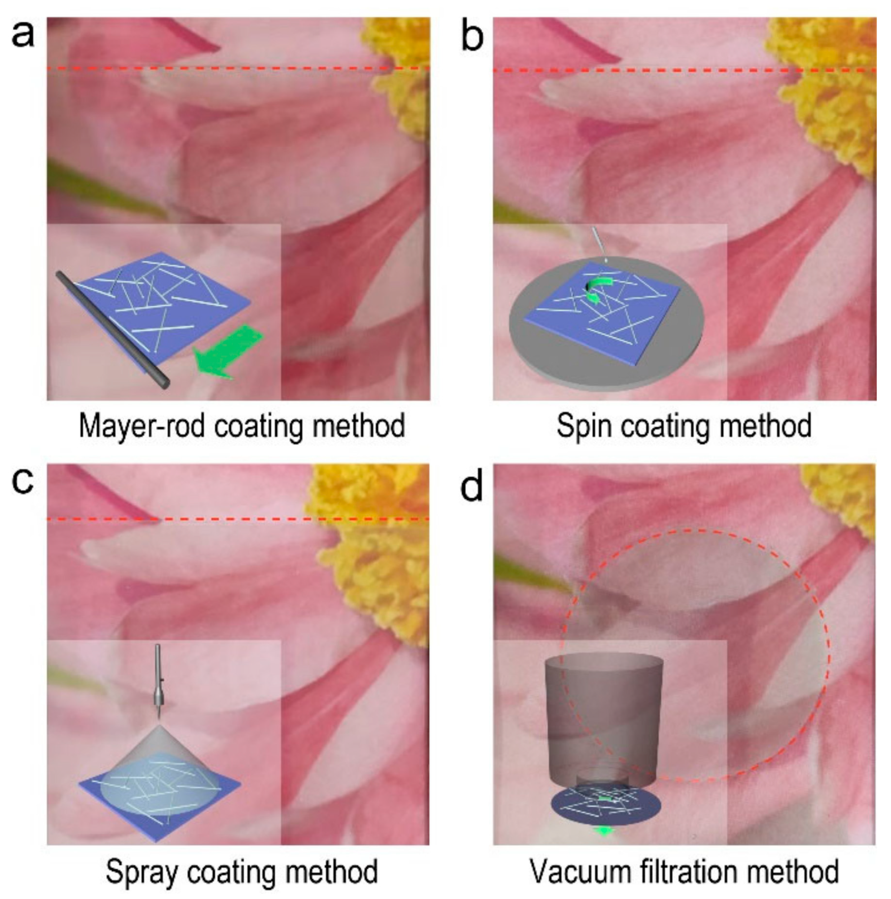 Inorganics 12 00065 g007