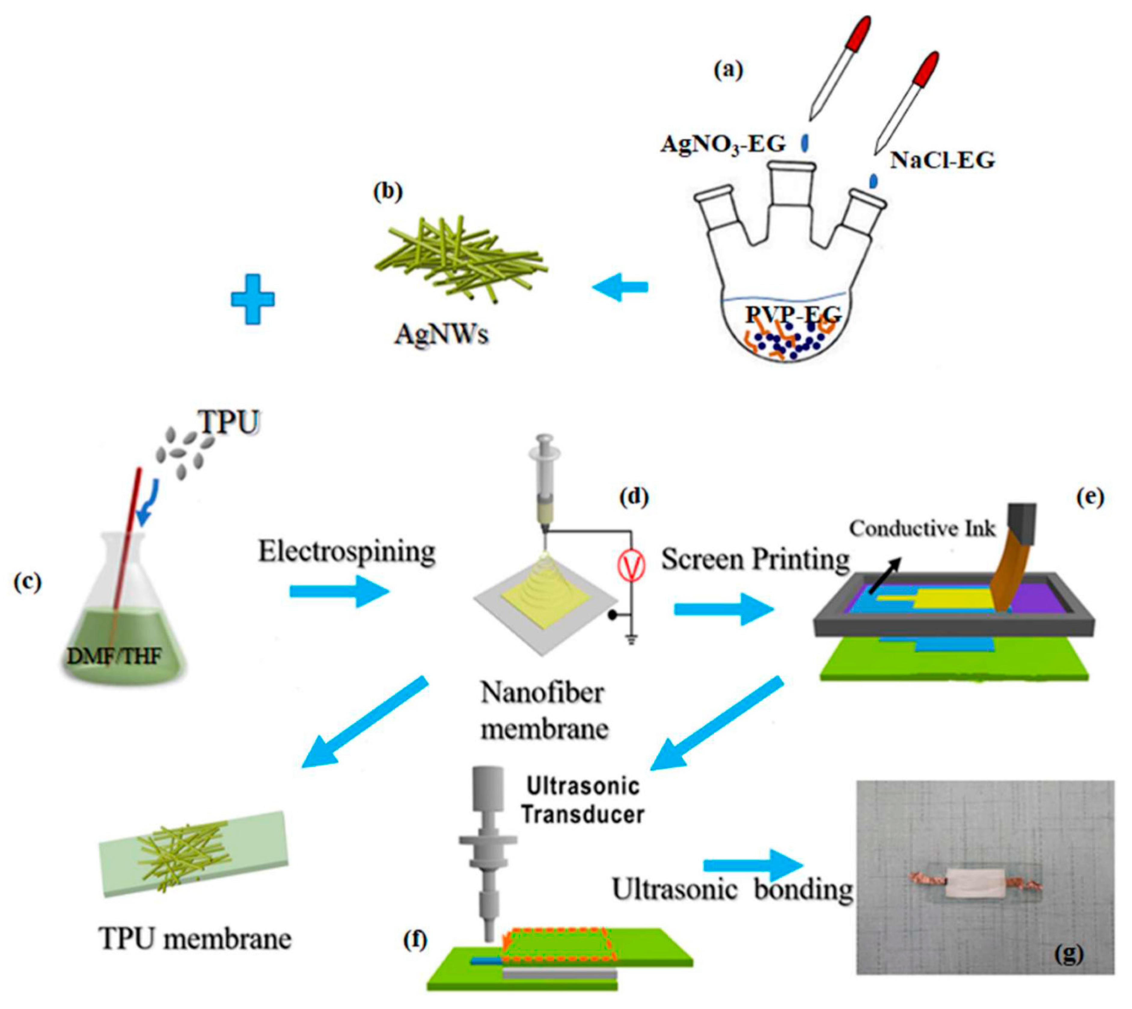 Inorganics 12 00065 g012