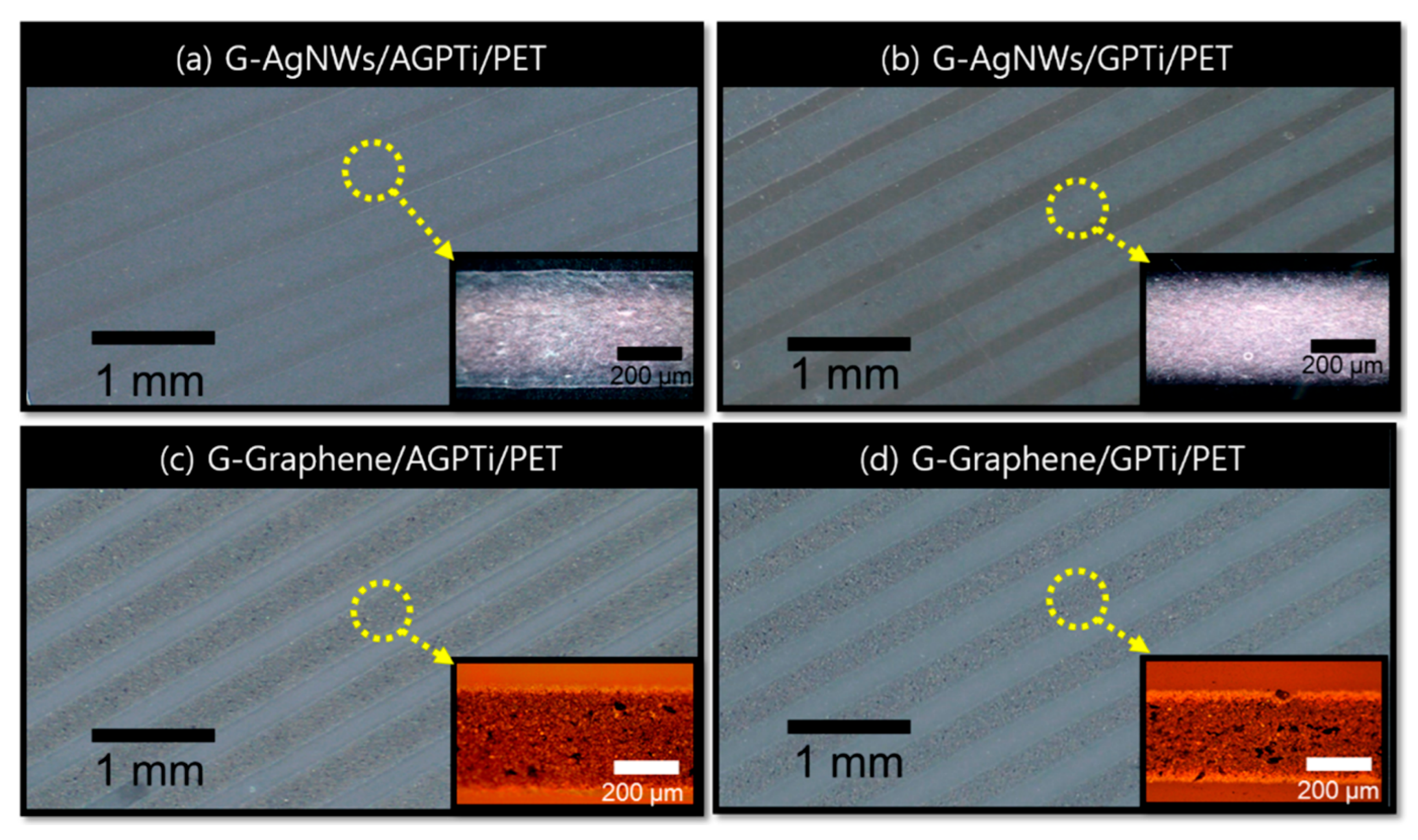 Inorganics 12 00065 g013